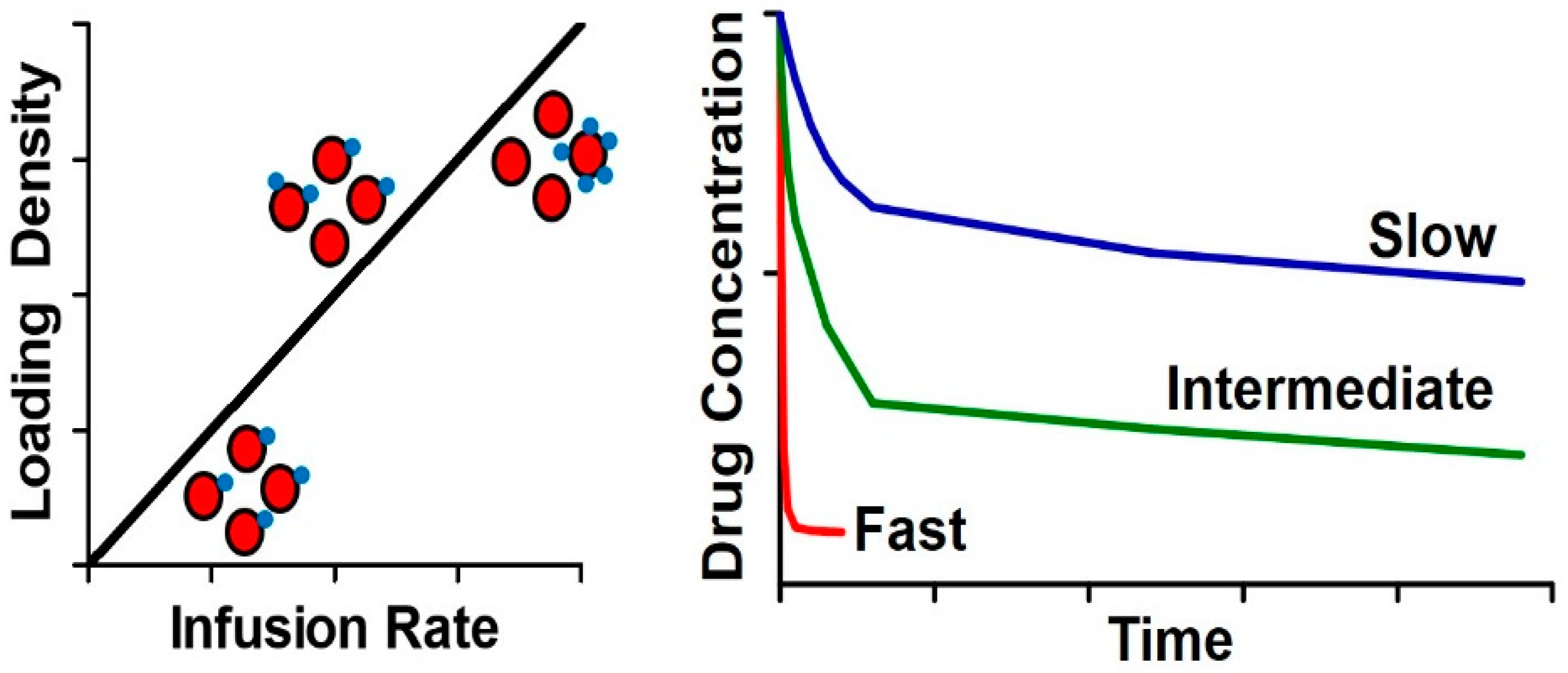 Pharmaceutics 12 00440 g005