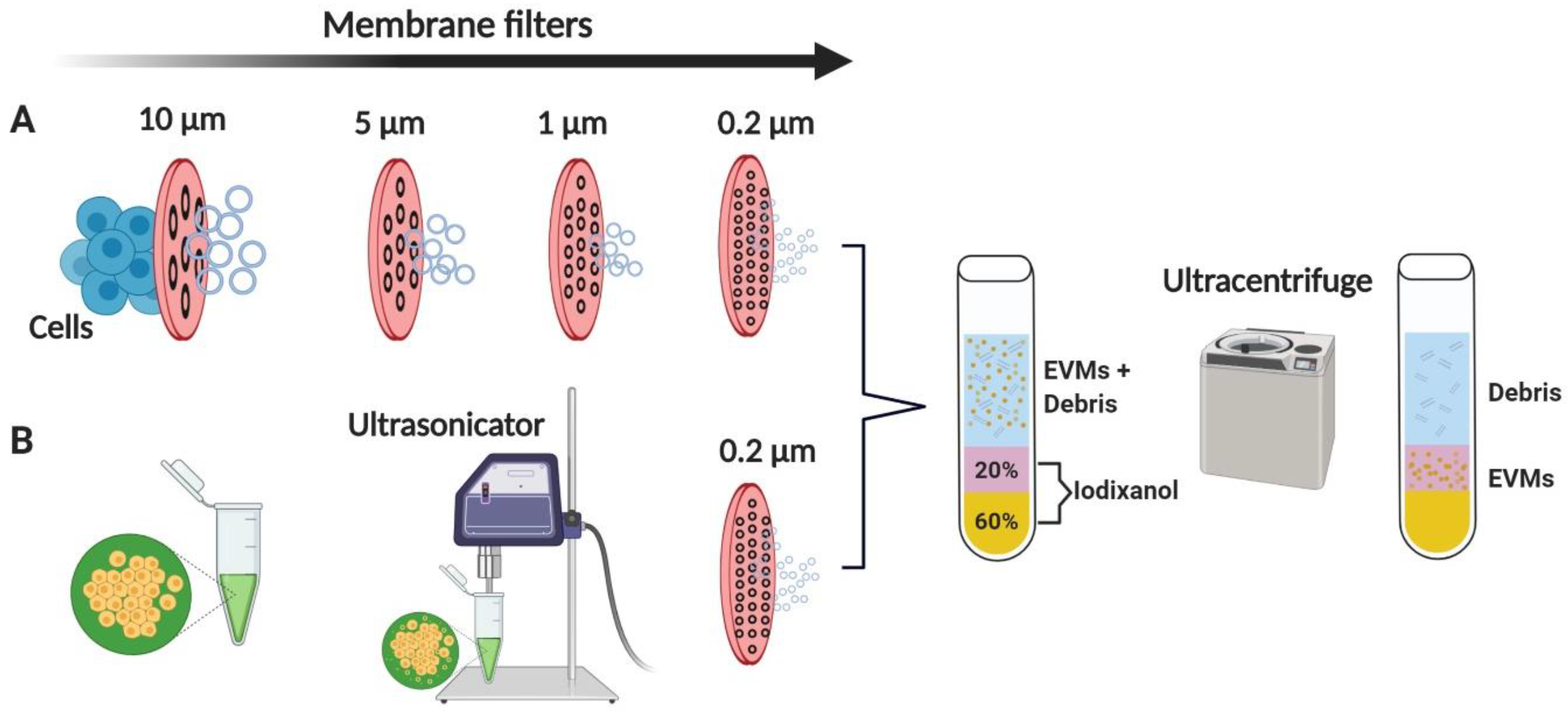 Pharmaceutics 12 00442 g002