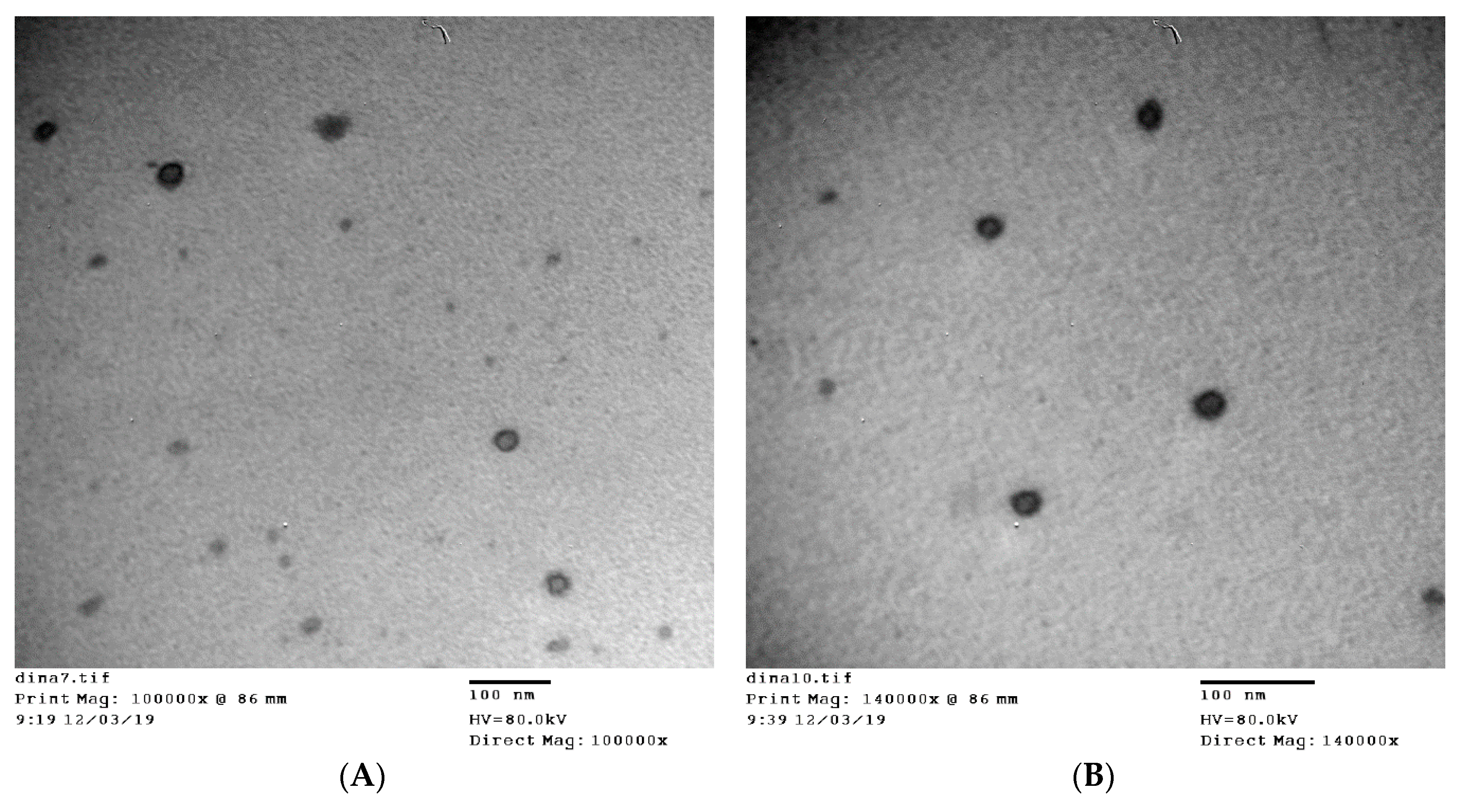 Pharmaceutics 12 00446 g001 Pharmaceutics 12 00446 g001