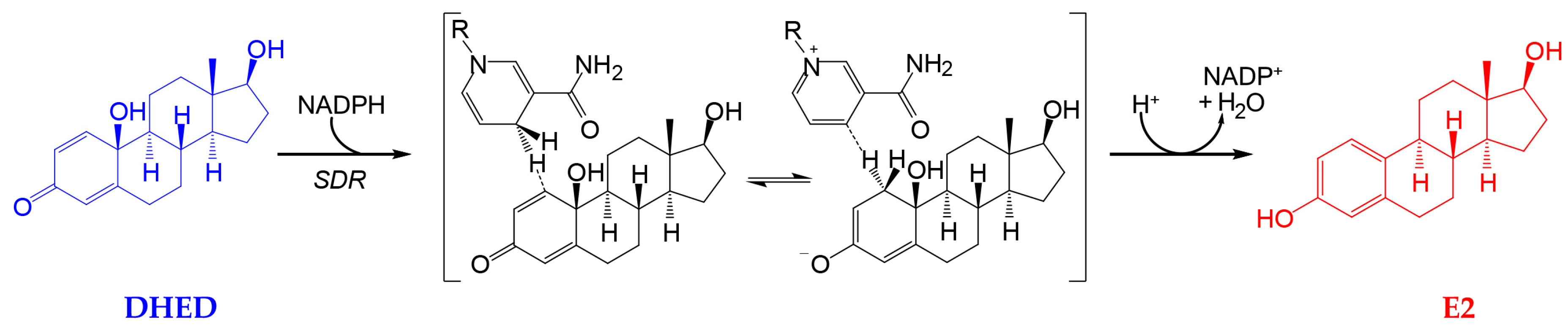 Pharmaceutics 12 00456 g001 Pharmaceutics 12 00456 g001