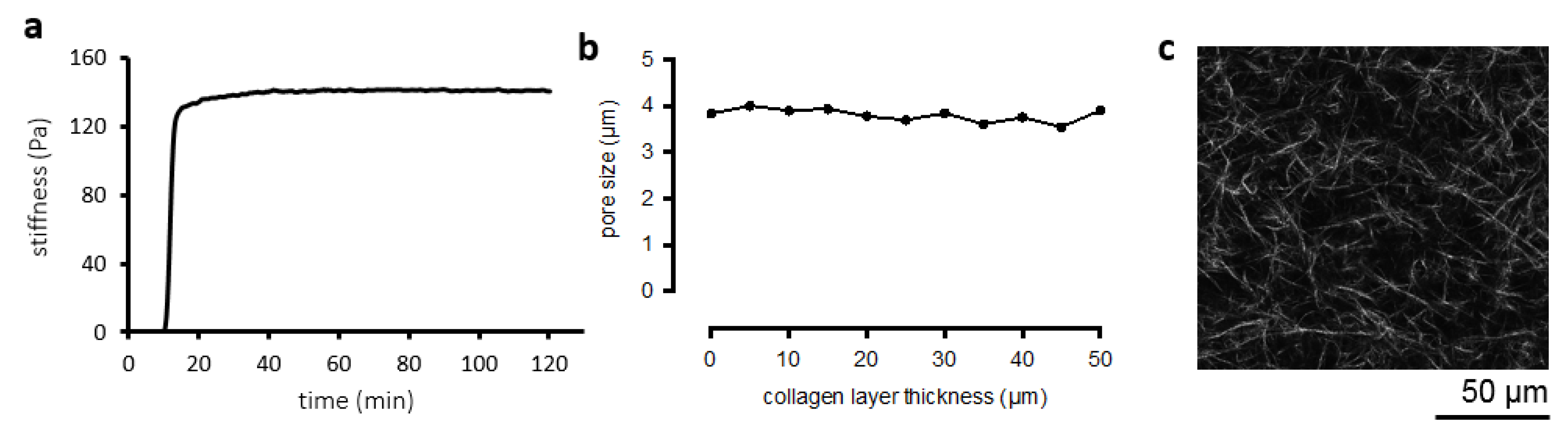 Pharmaceutics 12 00464 g002