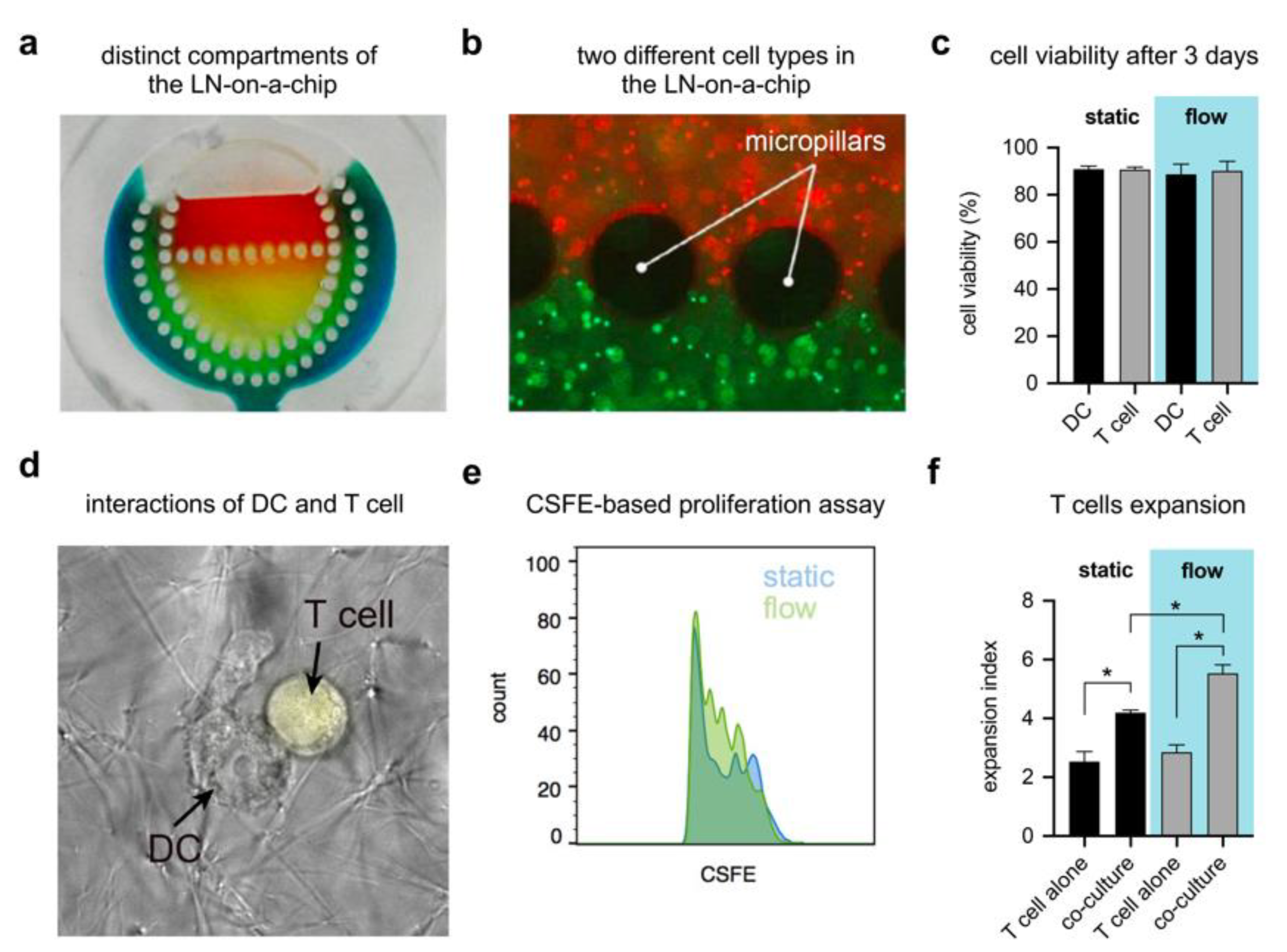 Pharmaceutics 12 00464 g004