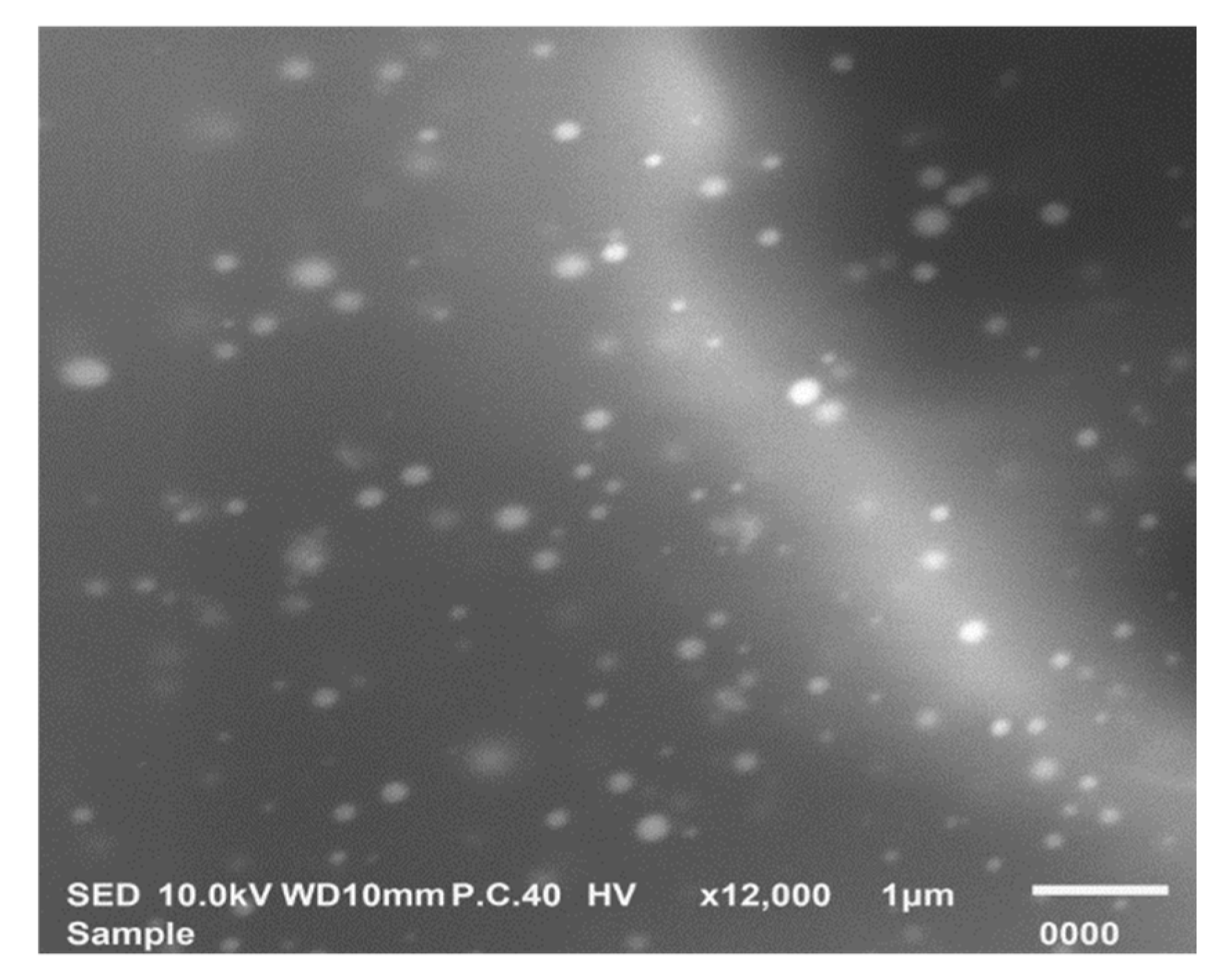 Pharmaceutics 12 00465 g007 Pharmaceutics 12 00465 g007