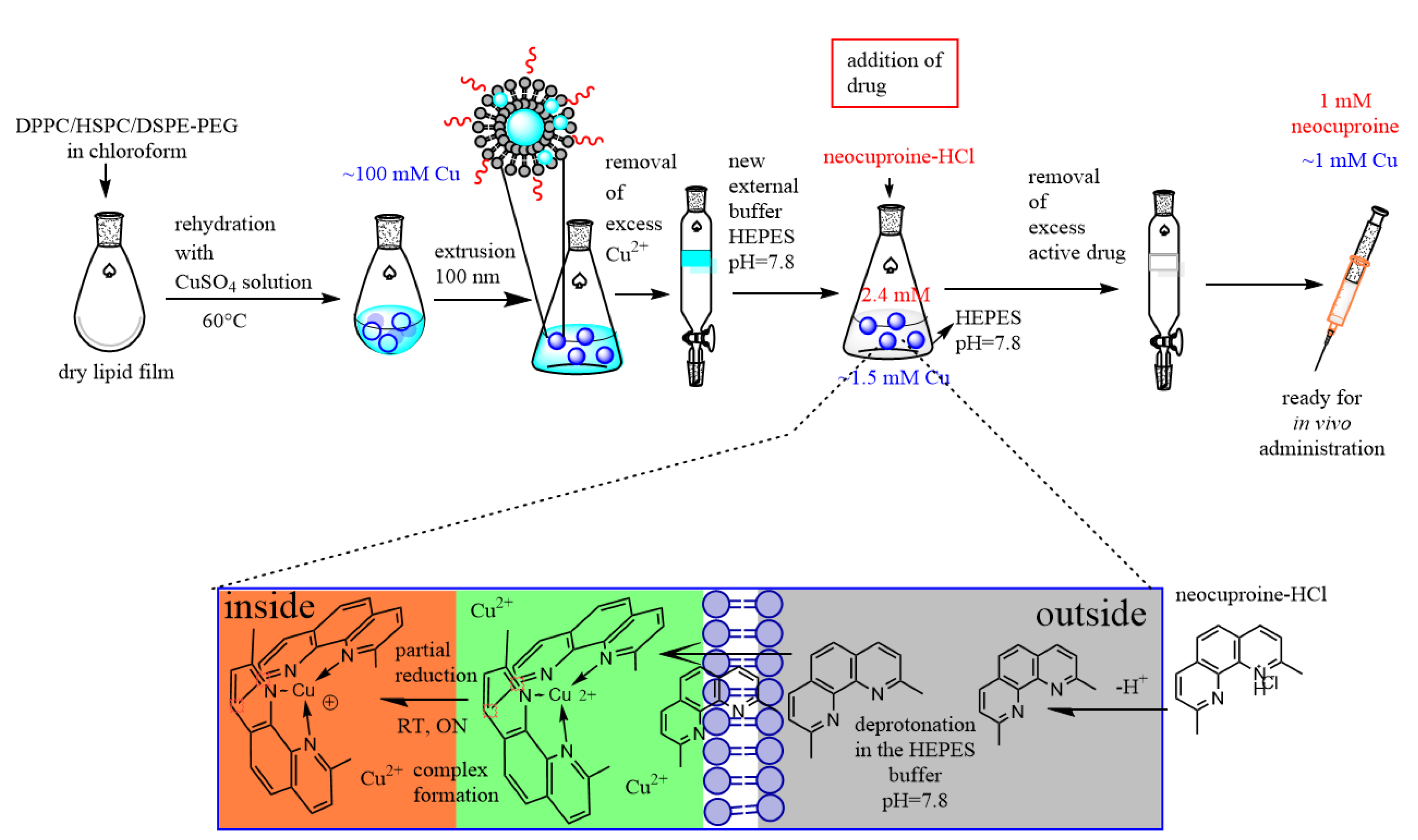 Pharmaceutics 12 00466 g001 Pharmaceutics 12 00466 g001