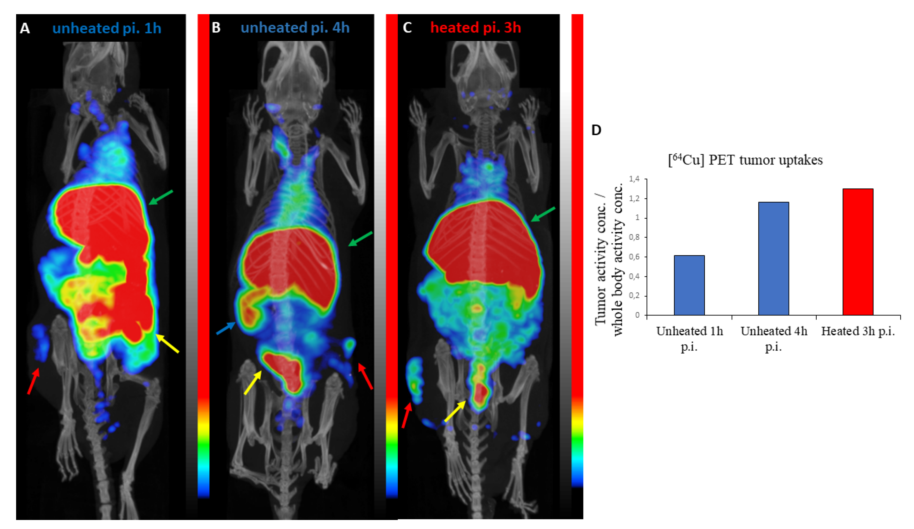Pharmaceutics 12 00466 g005 Pharmaceutics 12 00466 g005