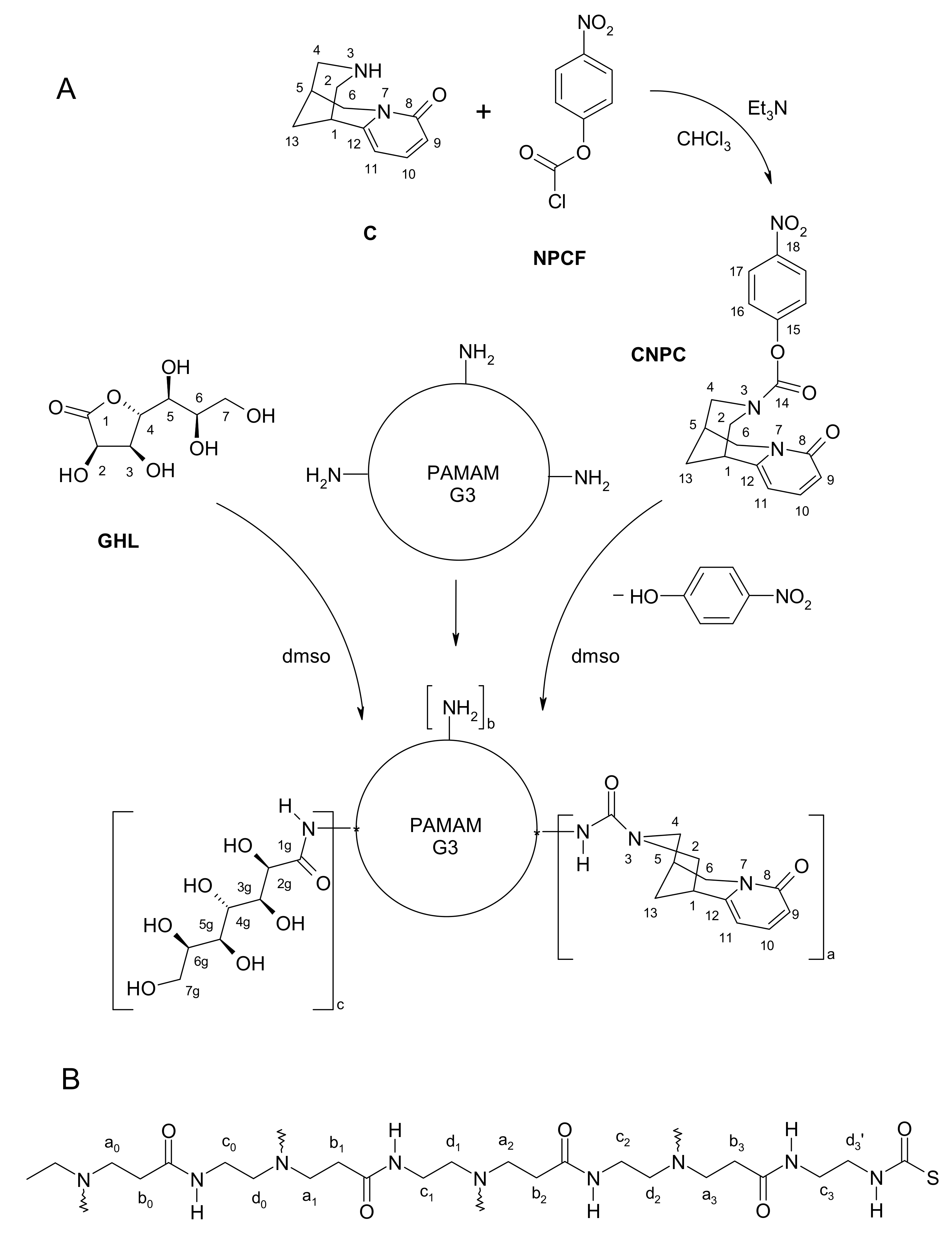 Pharmaceutics 12 00473 sch001