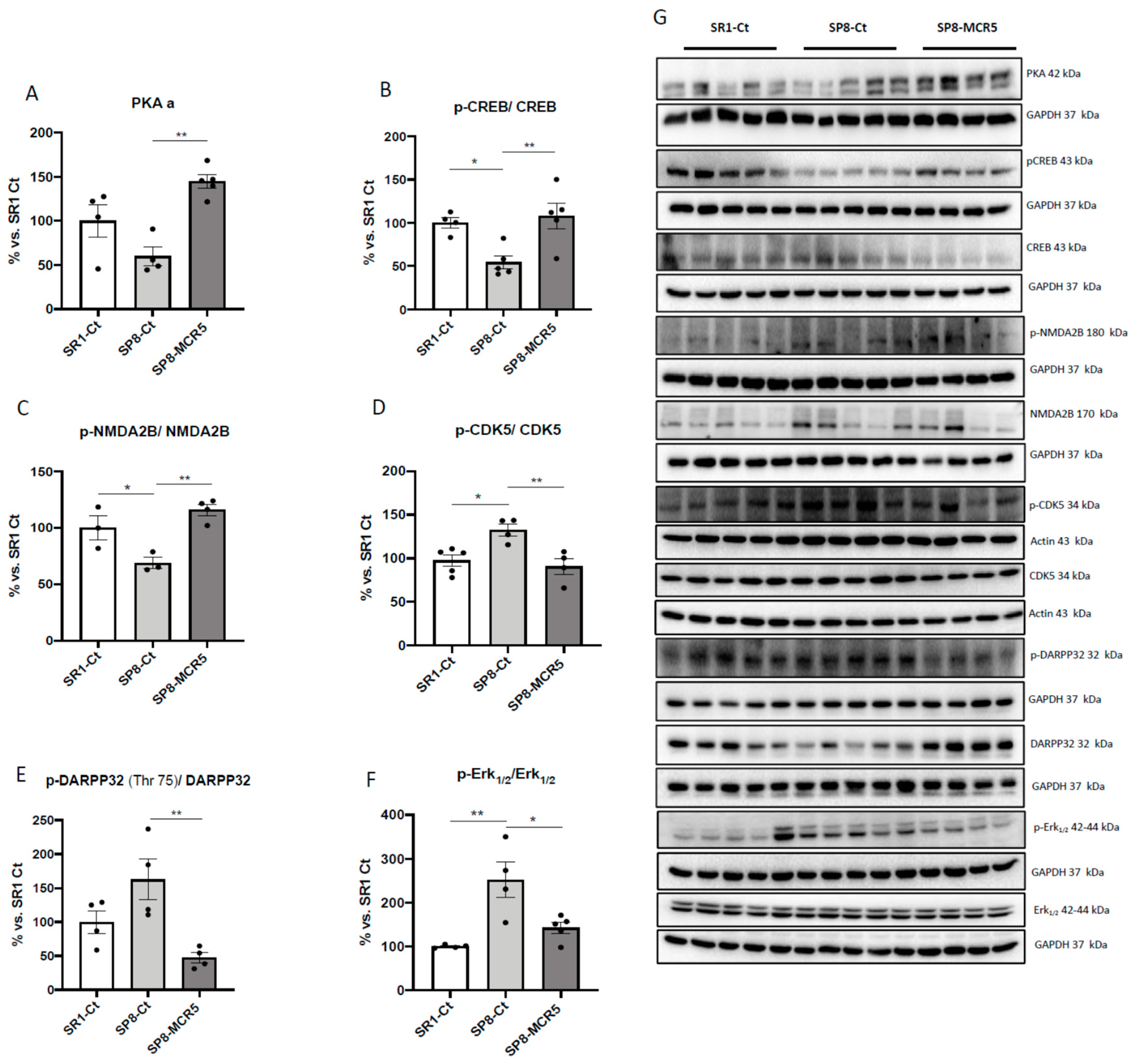 Pharmaceutics 12 00475 g006
