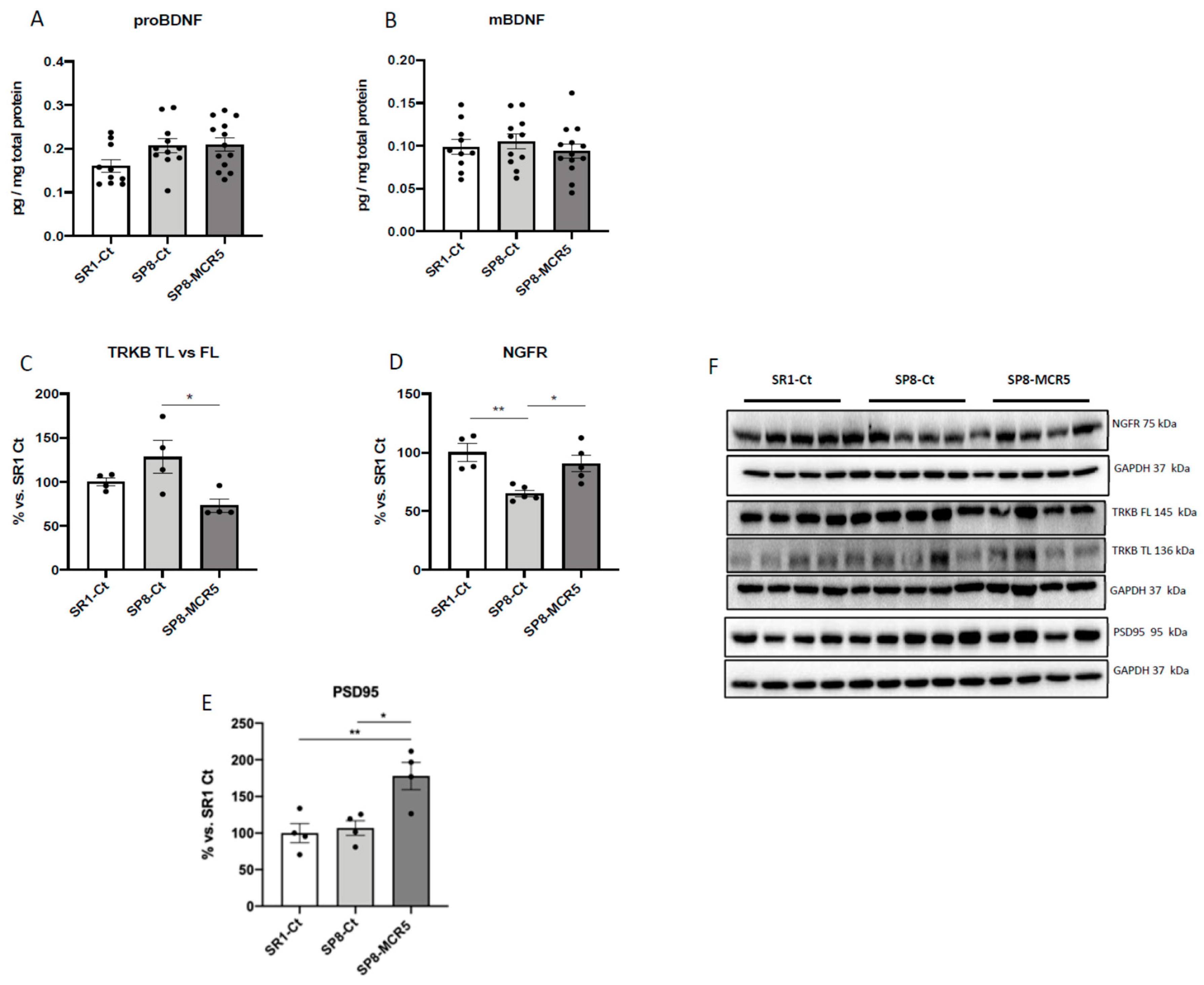 Pharmaceutics 12 00475 g007