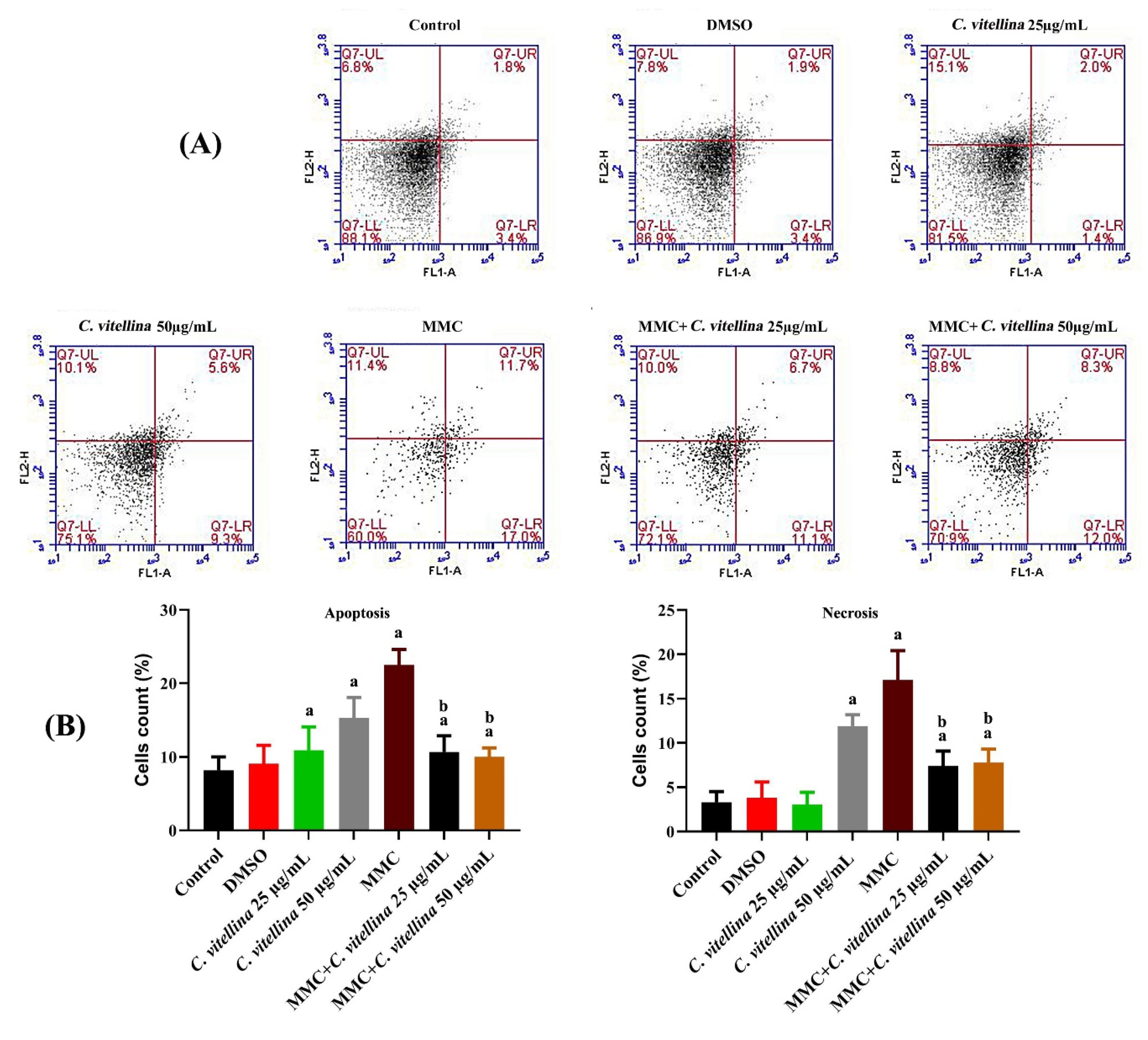 Pharmaceutics 12 00477 g003 Pharmaceutics 12 00477 g003