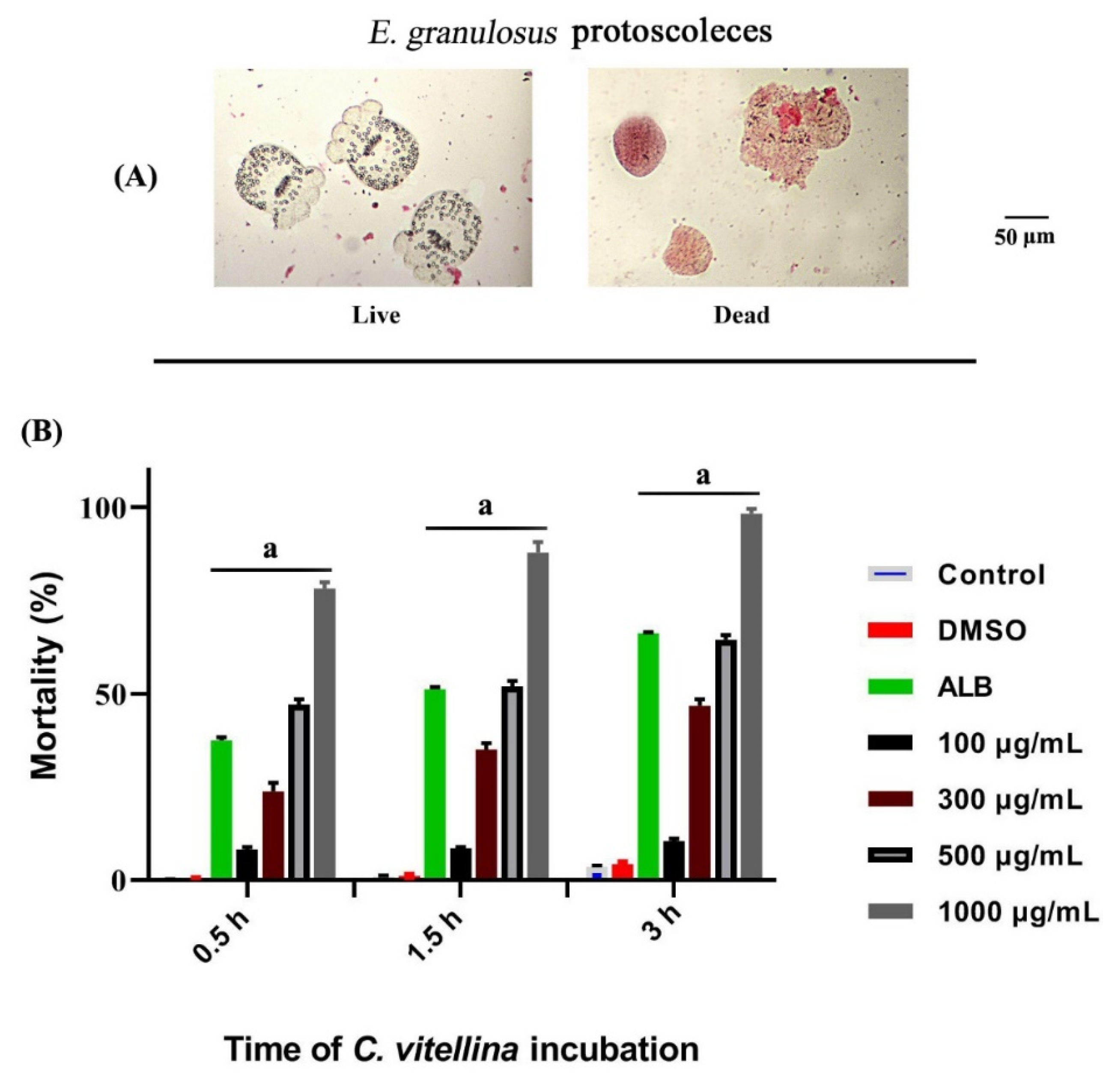 Pharmaceutics 12 00477 g007 Pharmaceutics 12 00477 g007