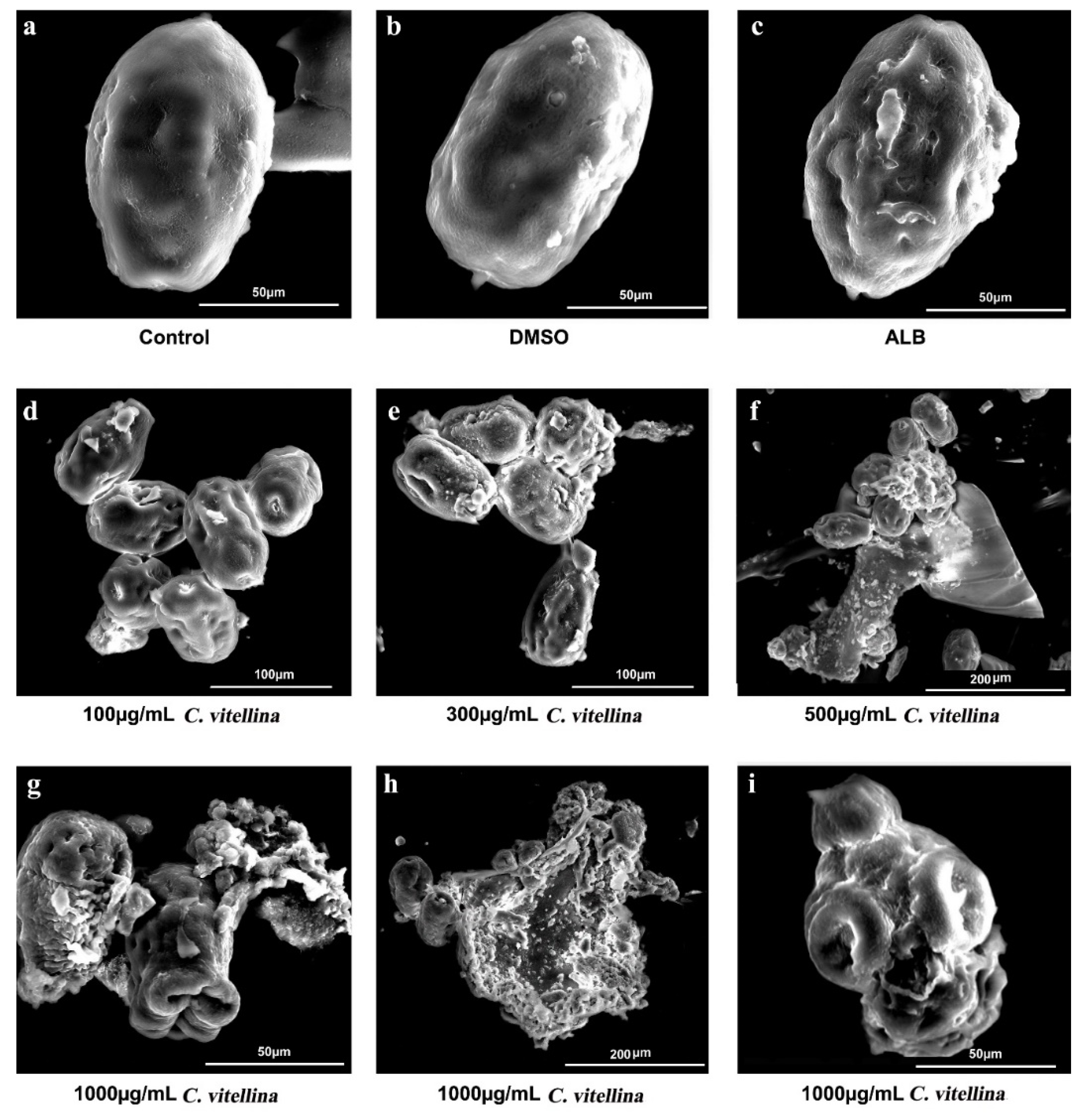 Pharmaceutics 12 00477 g008 Pharmaceutics 12 00477 g008