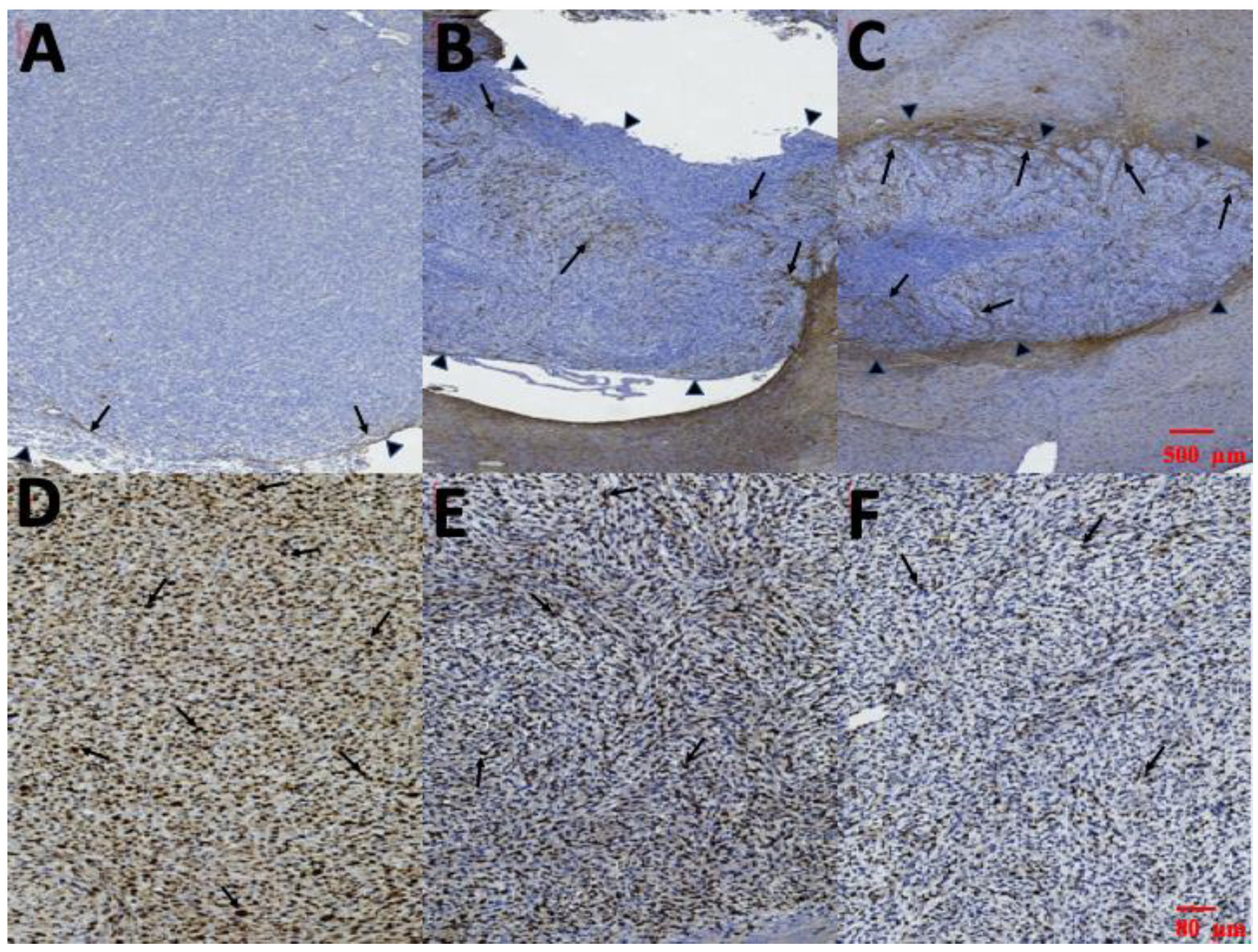 Pharmaceutics 12 00479 g011