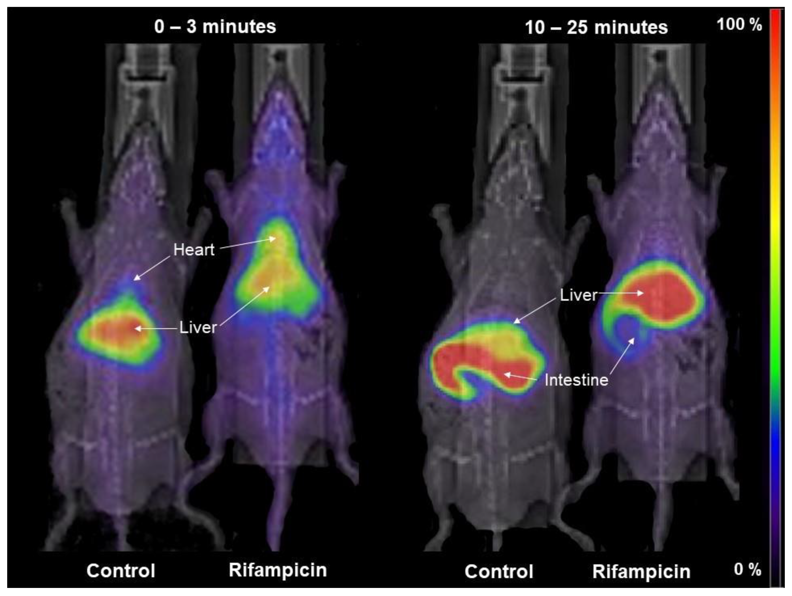 Pharmaceutics 12 00486 g003