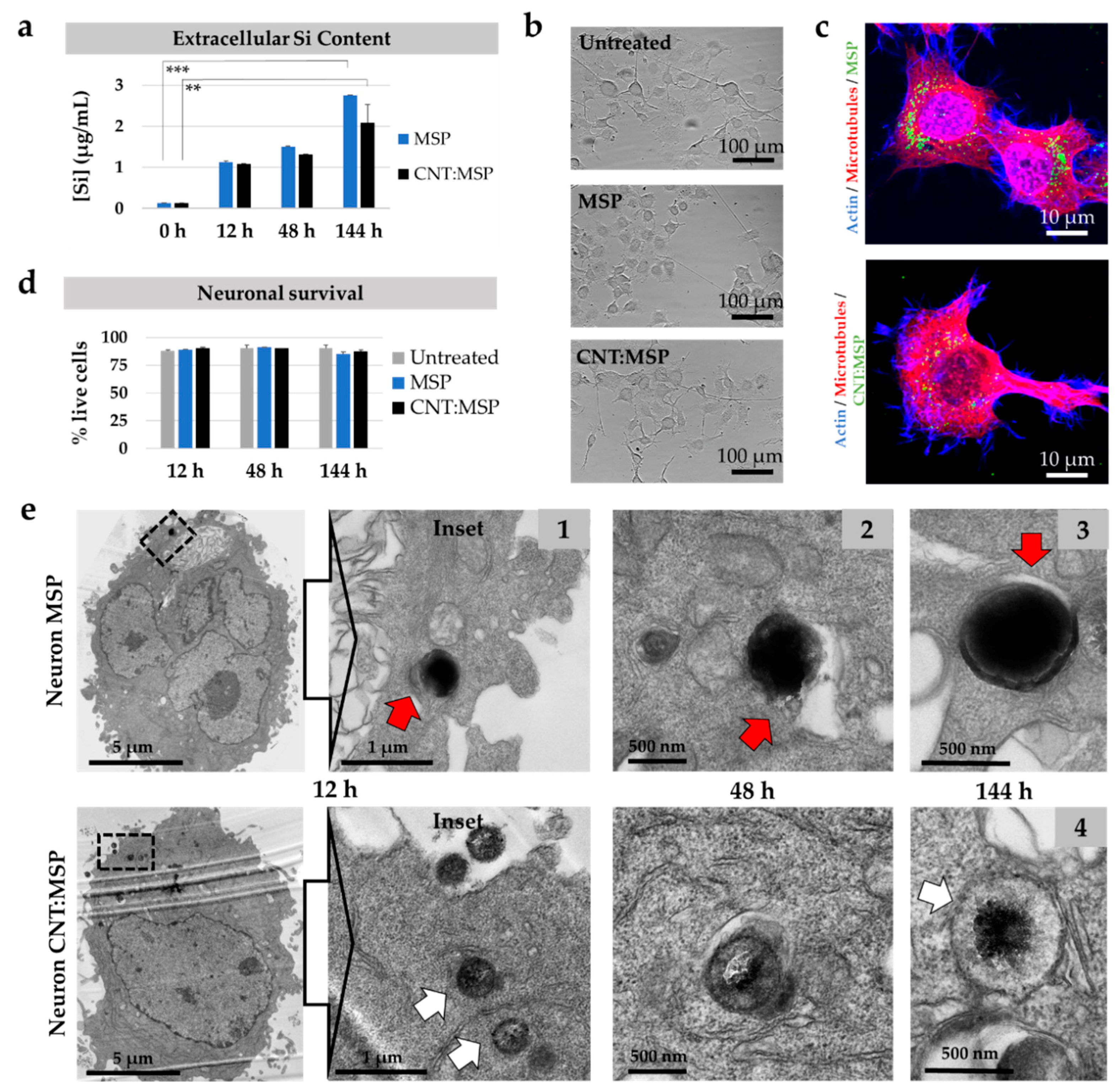 Pharmaceutics 12 00487 g007 Pharmaceutics 12 00487 g007