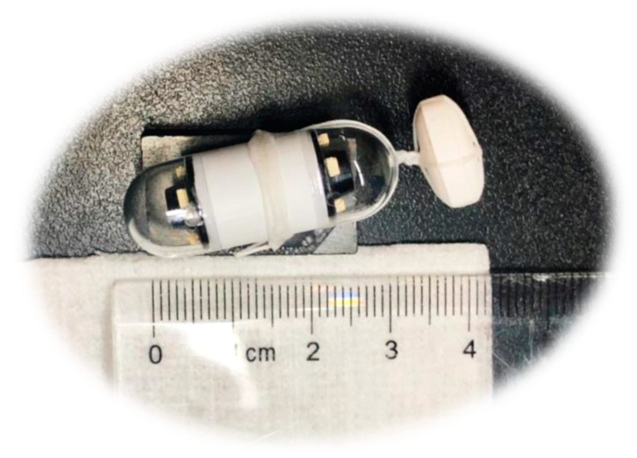 Pharmaceutics 12 00498 g001 Pharmaceutics 12 00498 g001