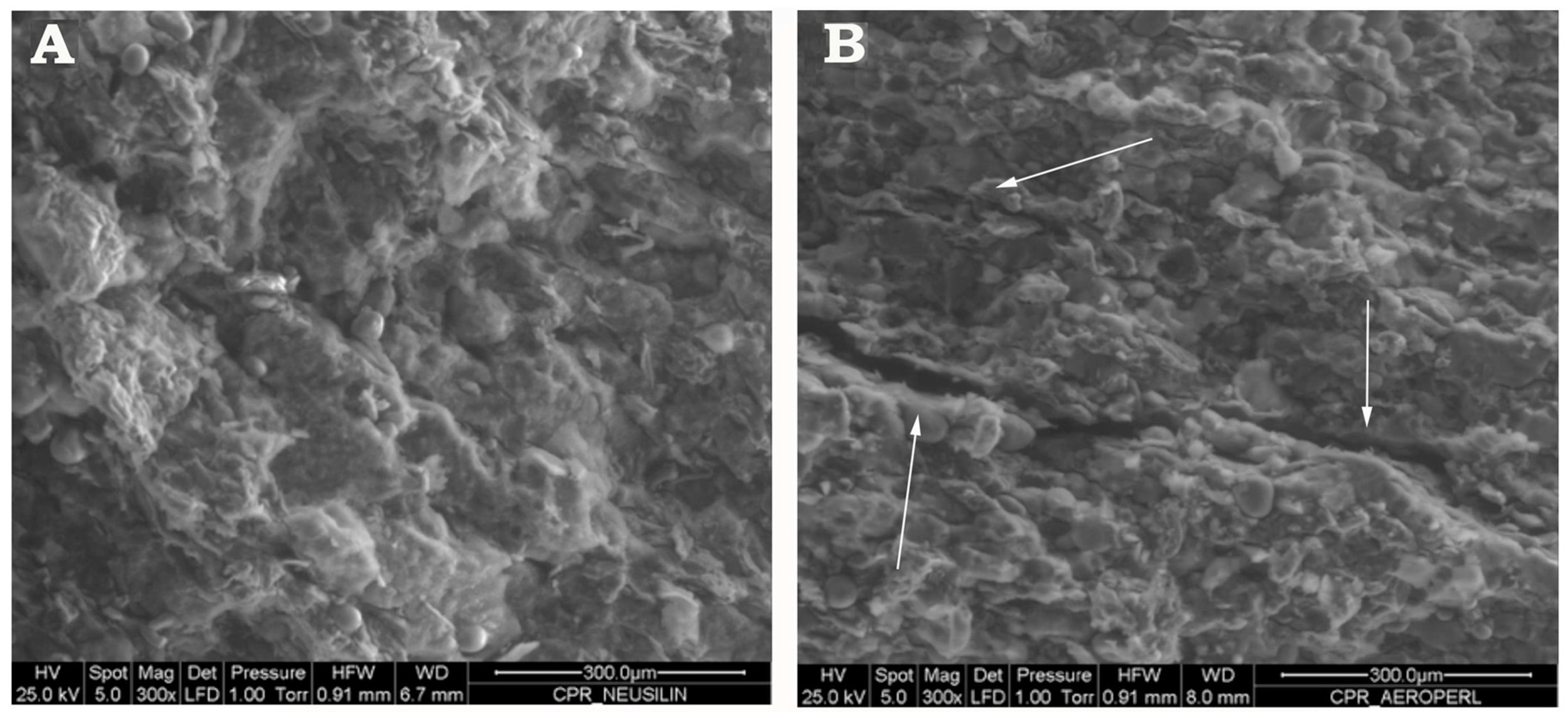 Pharmaceutics 12 00503 g008