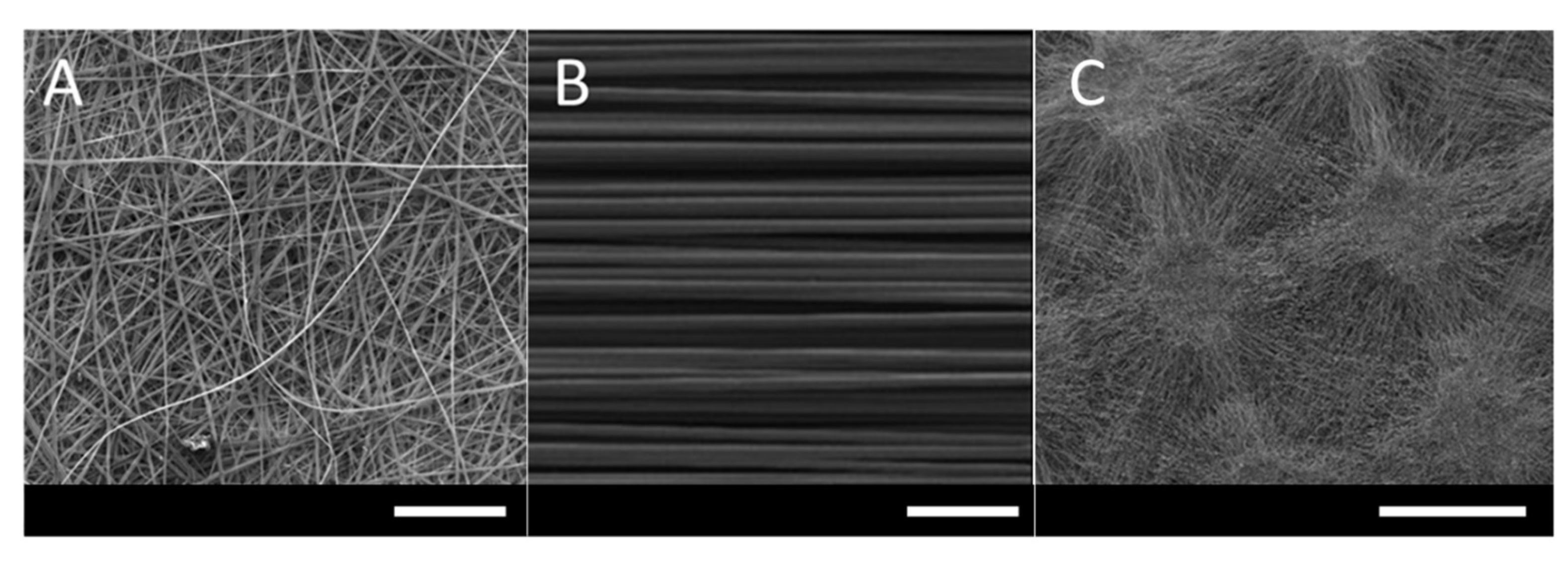 Pharmaceutics 12 00504 g003 Pharmaceutics 12 00504 g003