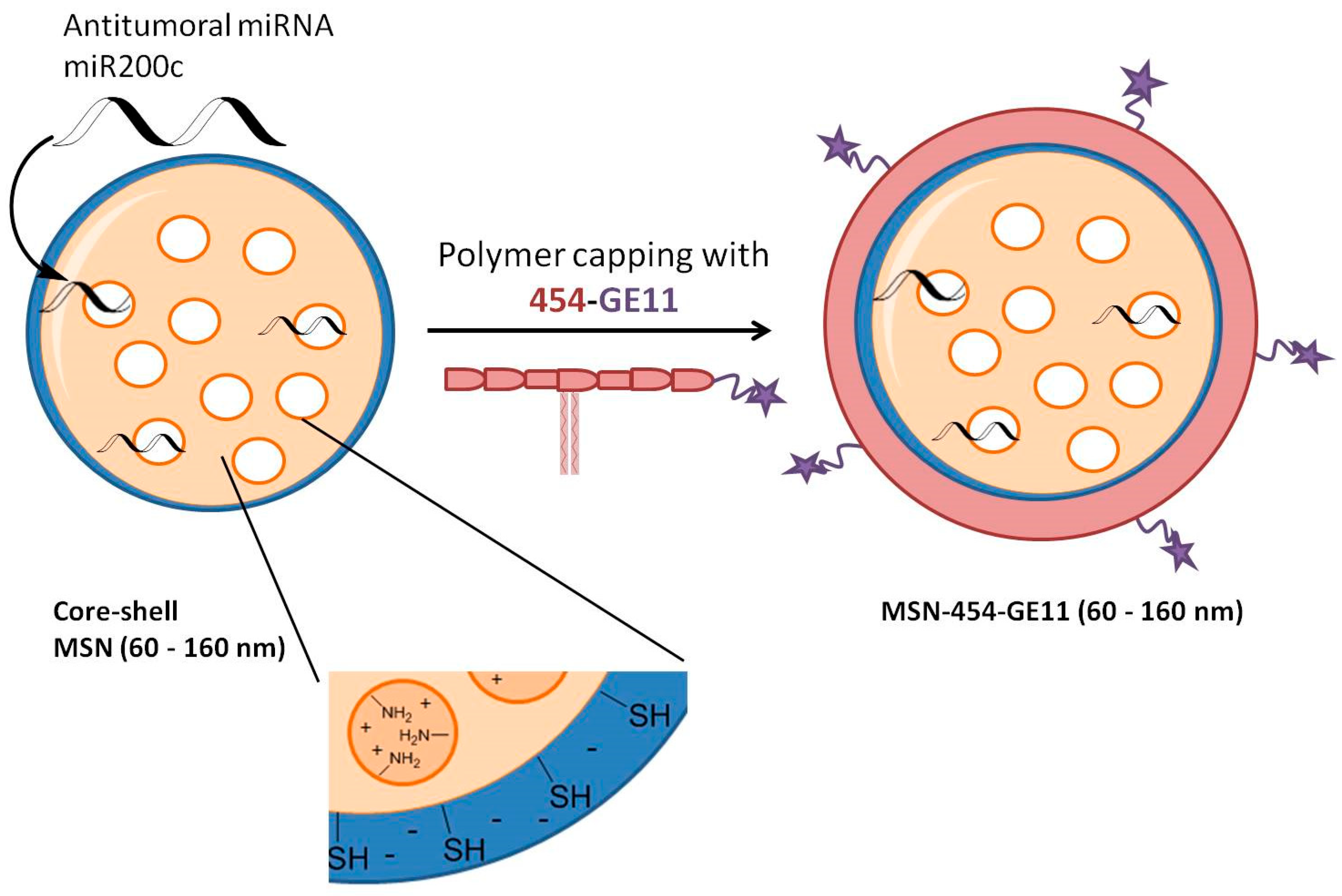Pharmaceutics 12 00505 g001 Pharmaceutics 12 00505 g001