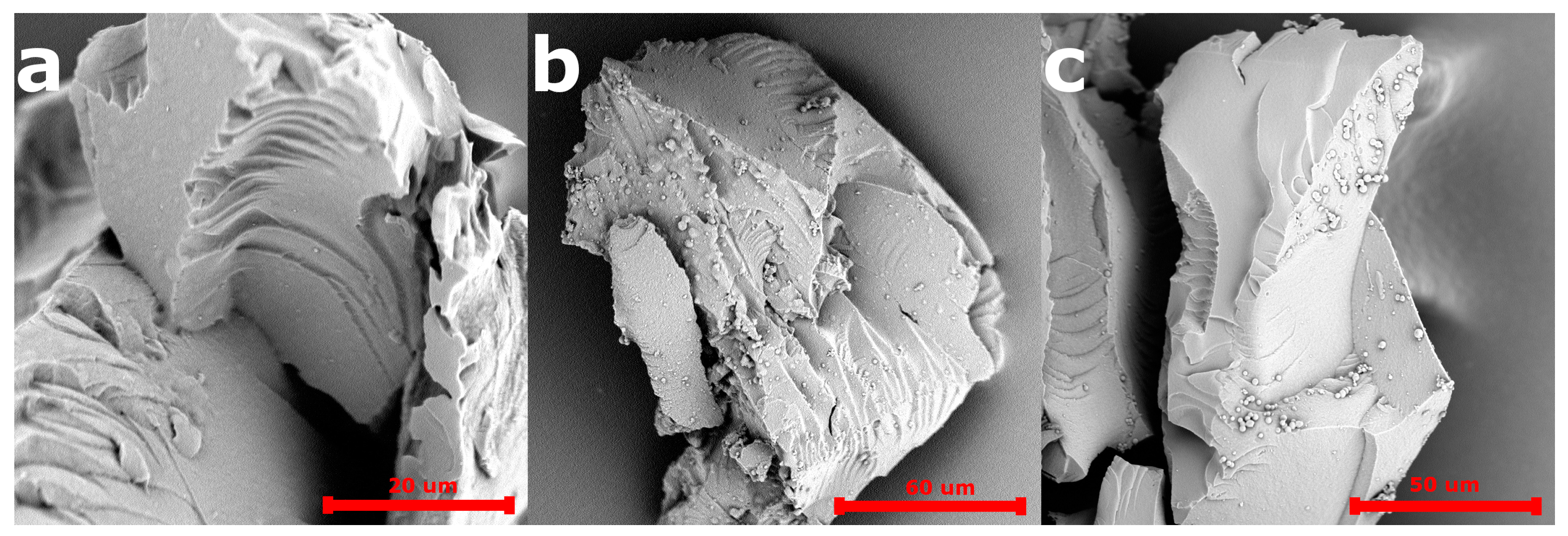 Pharmaceutics 12 00506 g003