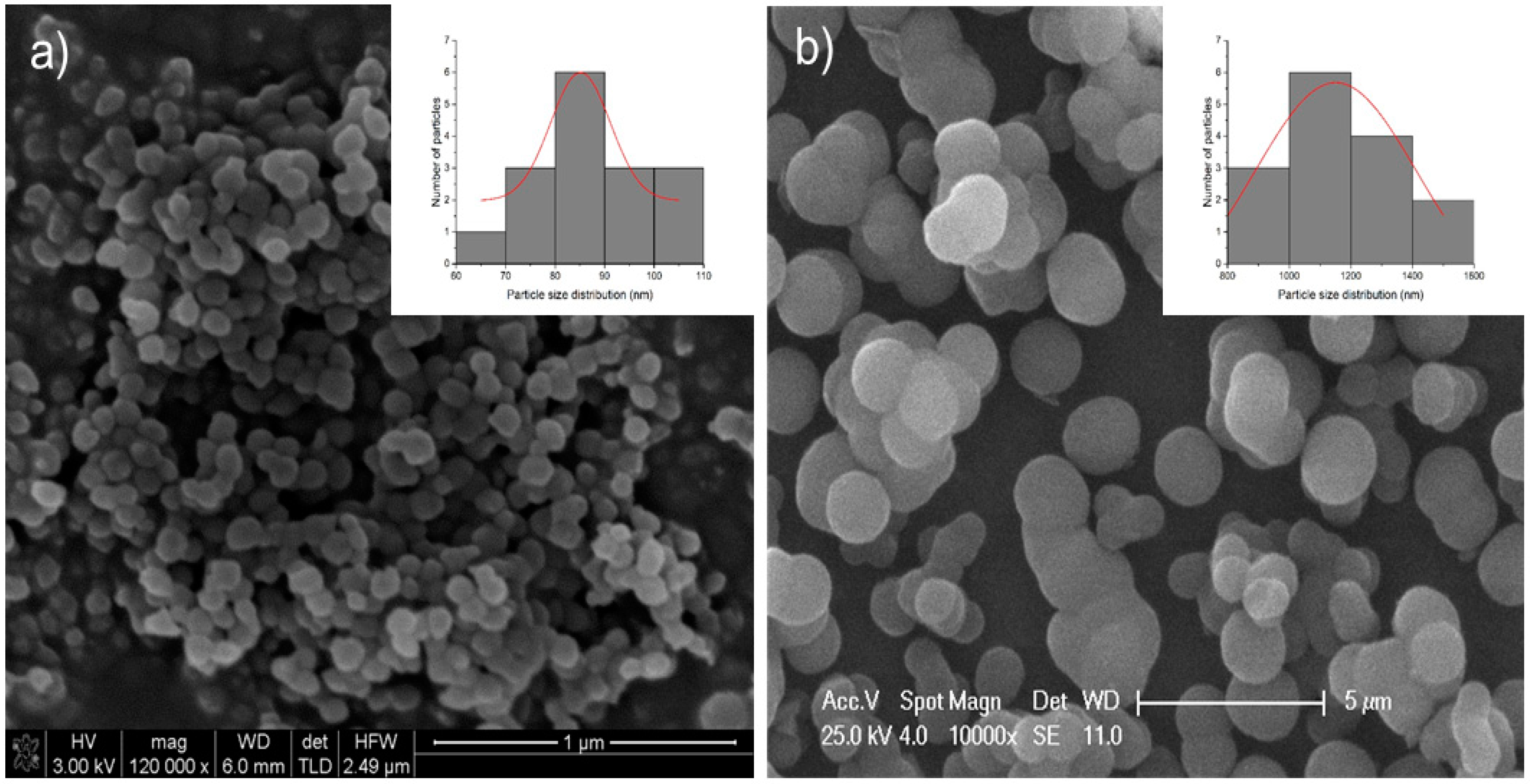 Pharmaceutics 12 00512 g002