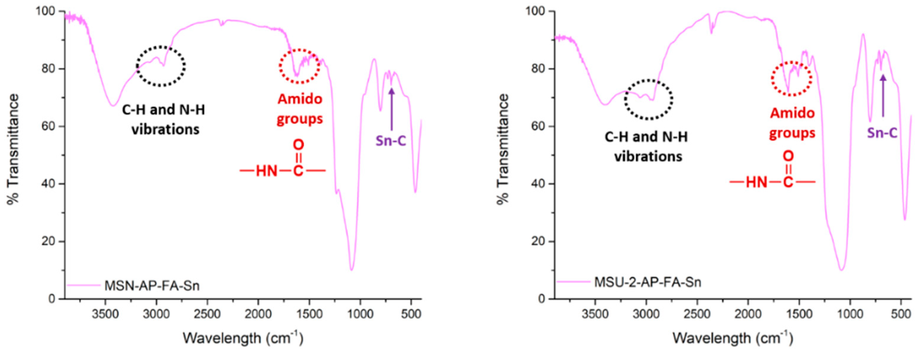 Pharmaceutics 12 00512 g005