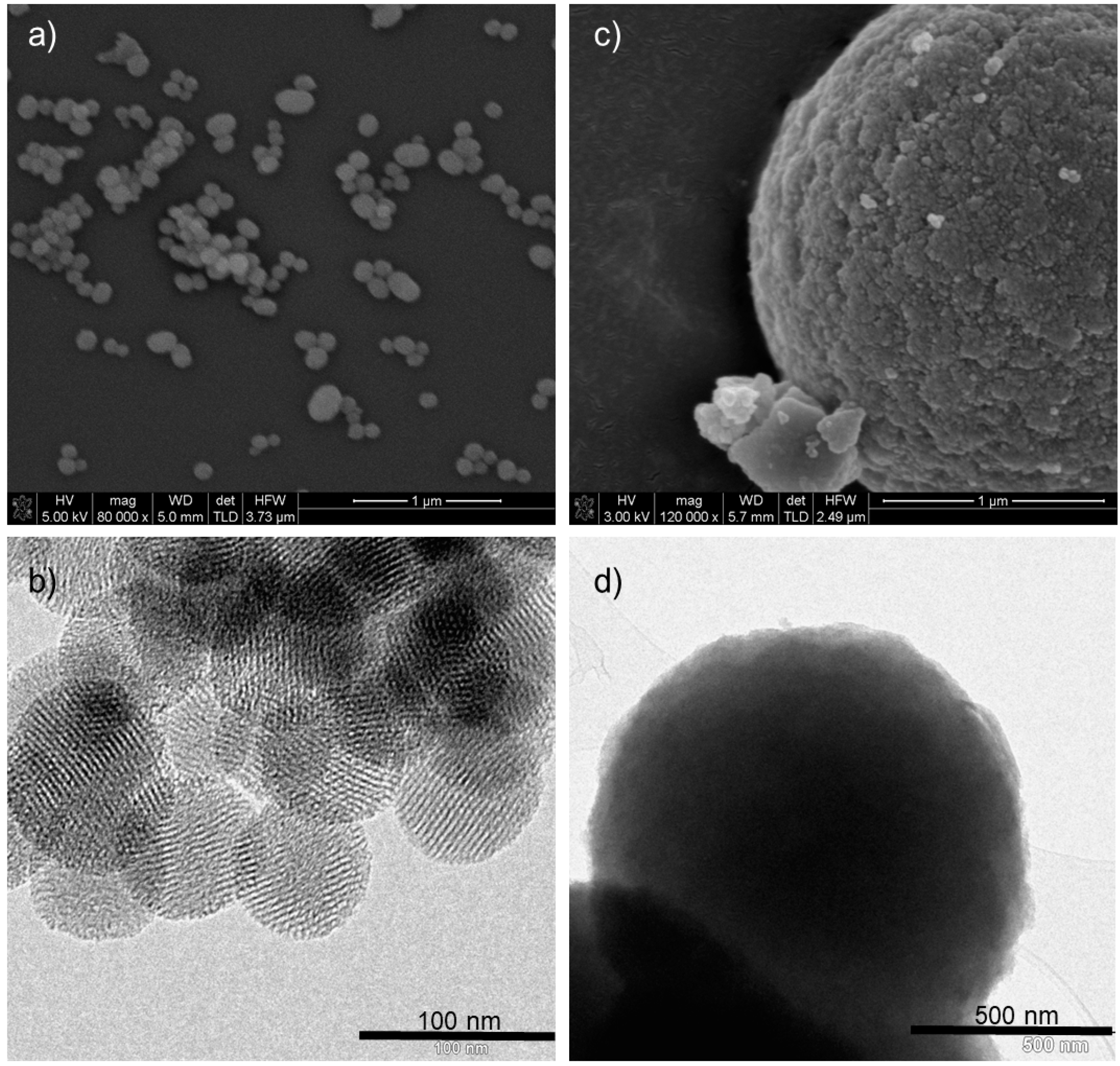 Pharmaceutics 12 00512 g008