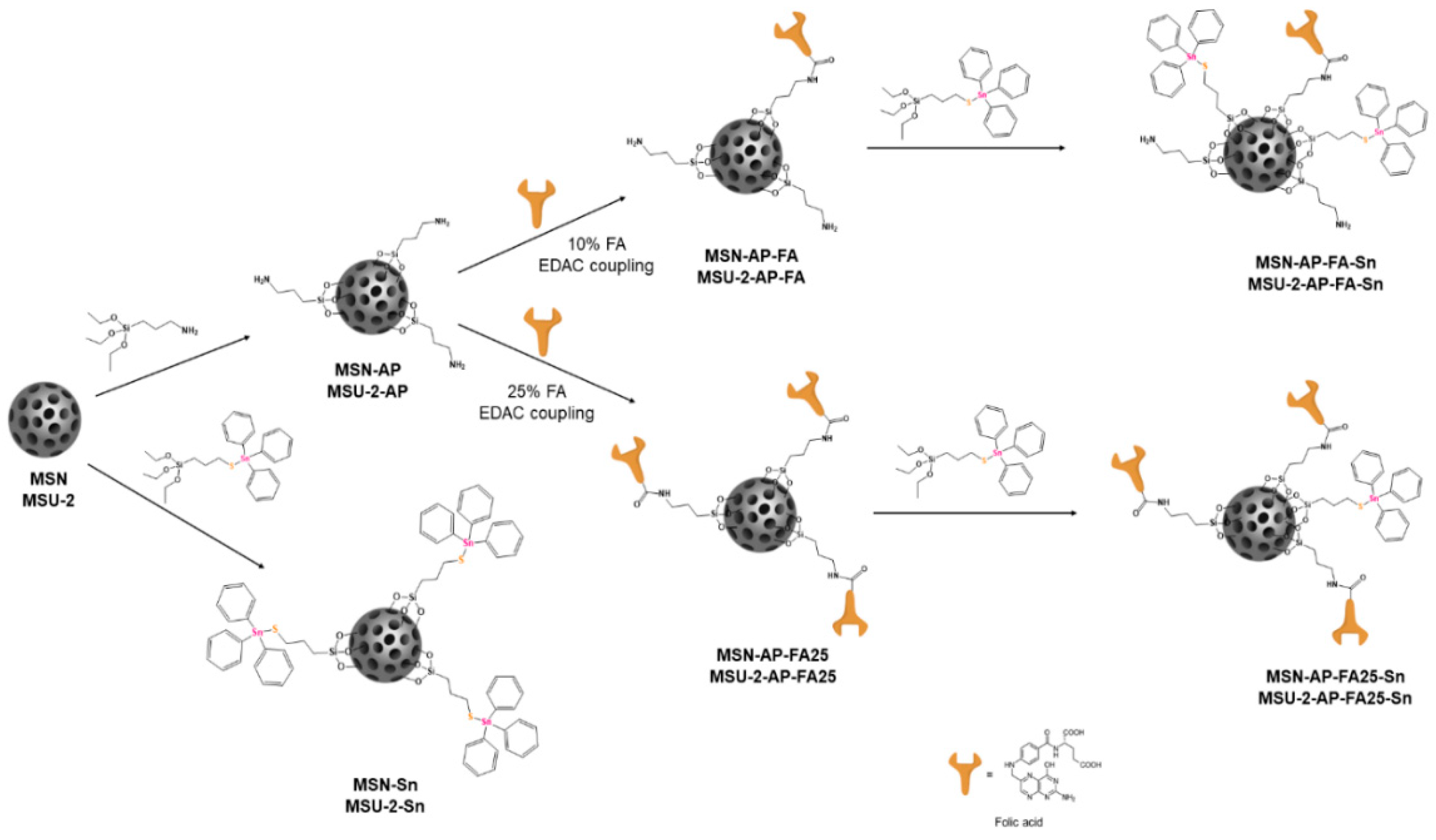 Pharmaceutics 12 00512 sch001