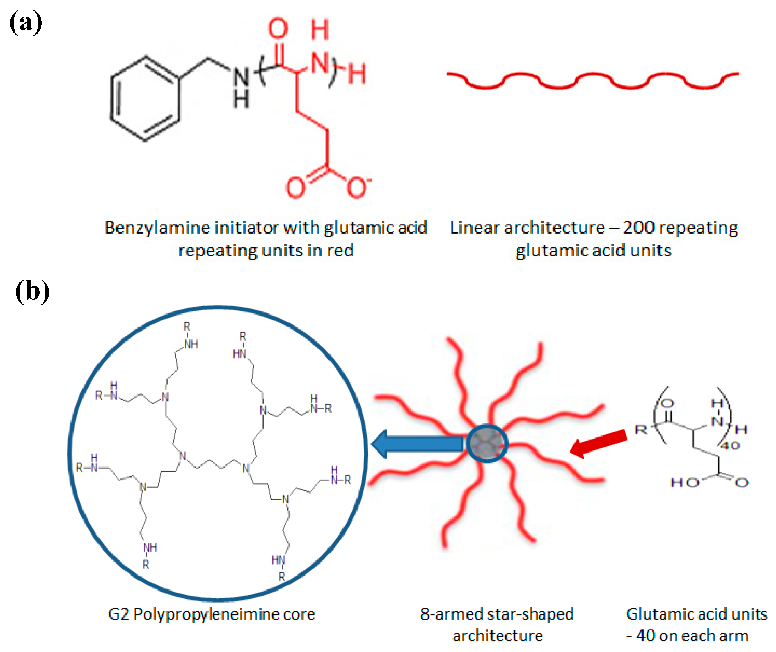 Pharmaceutics 12 00513 g001
