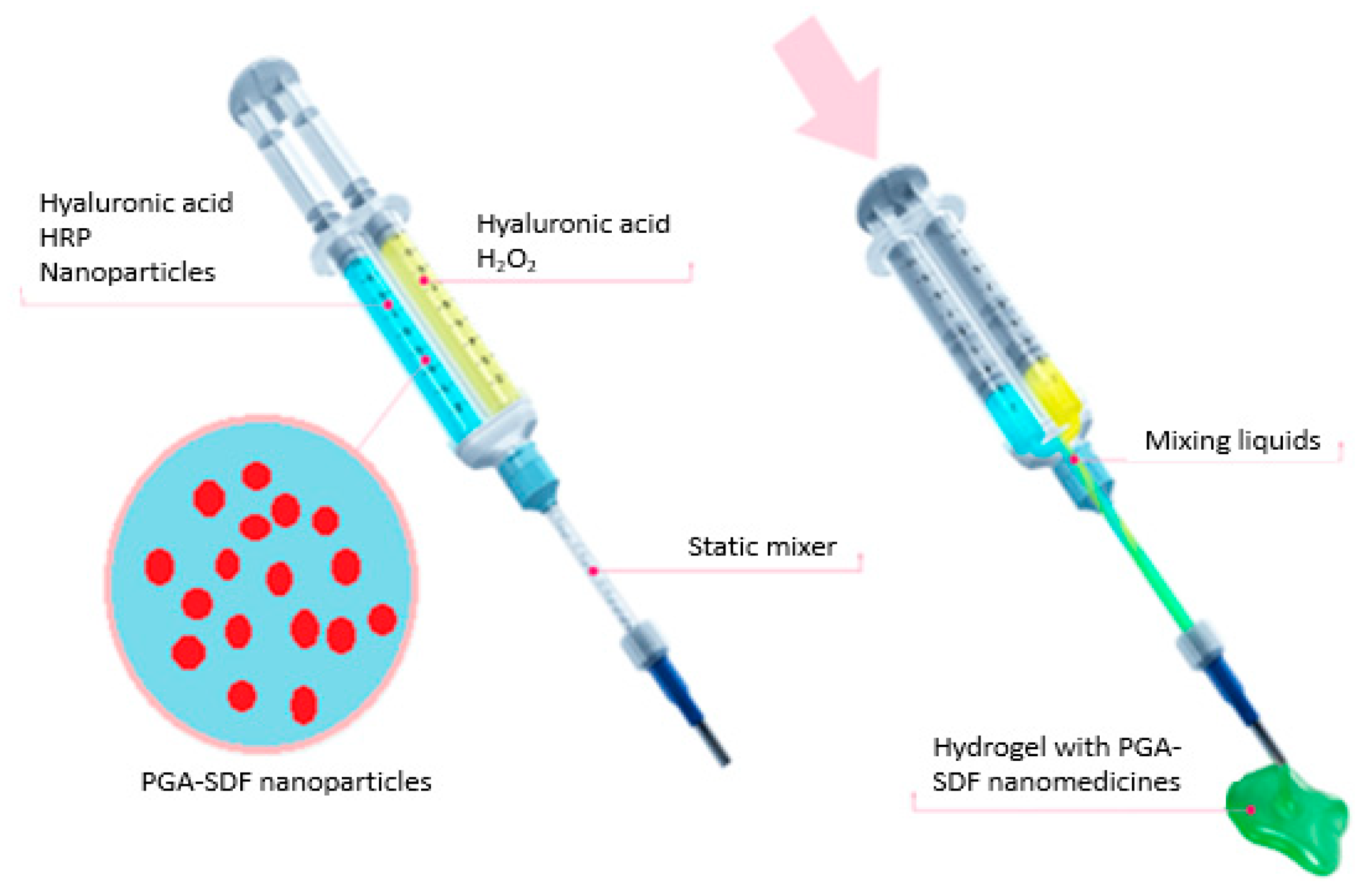 Pharmaceutics 12 00513 g002