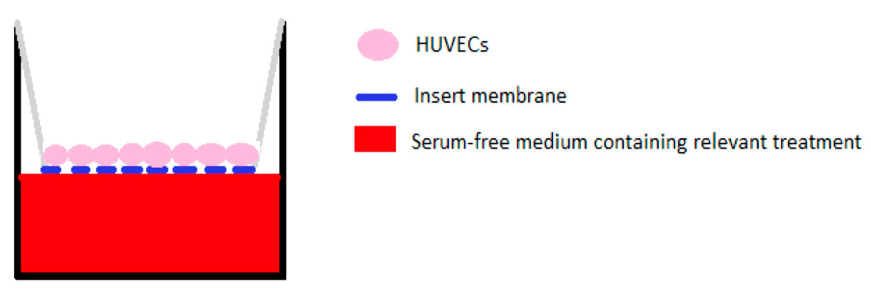 Pharmaceutics 12 00513 g003