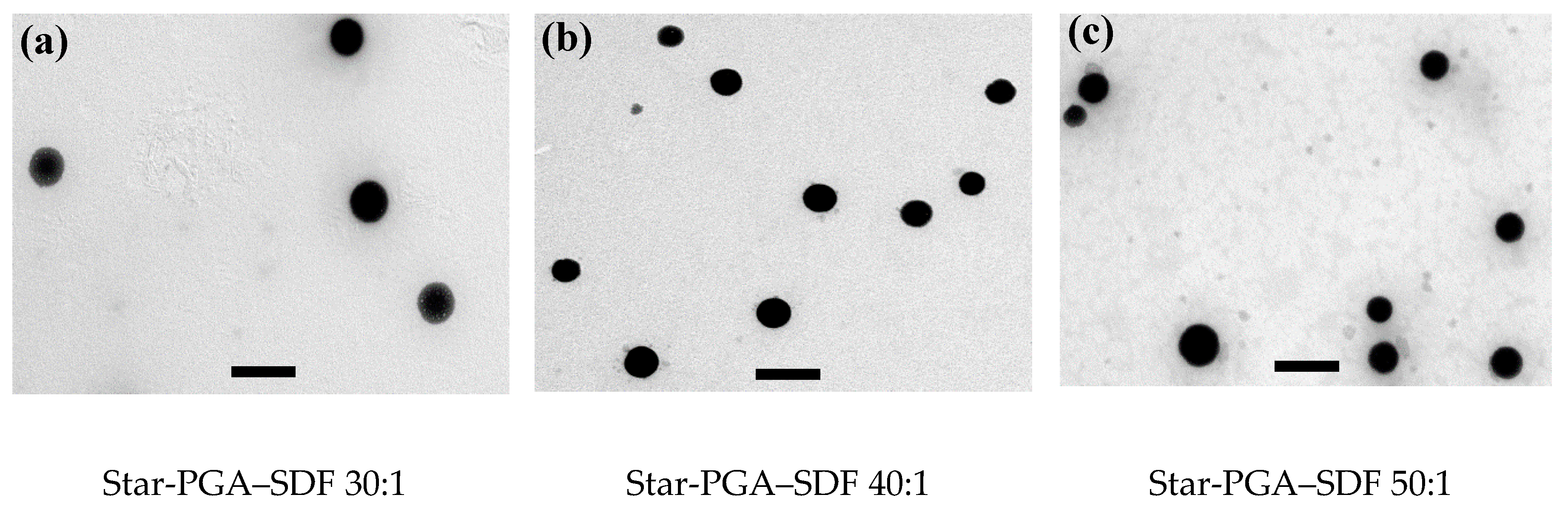Pharmaceutics 12 00513 g005