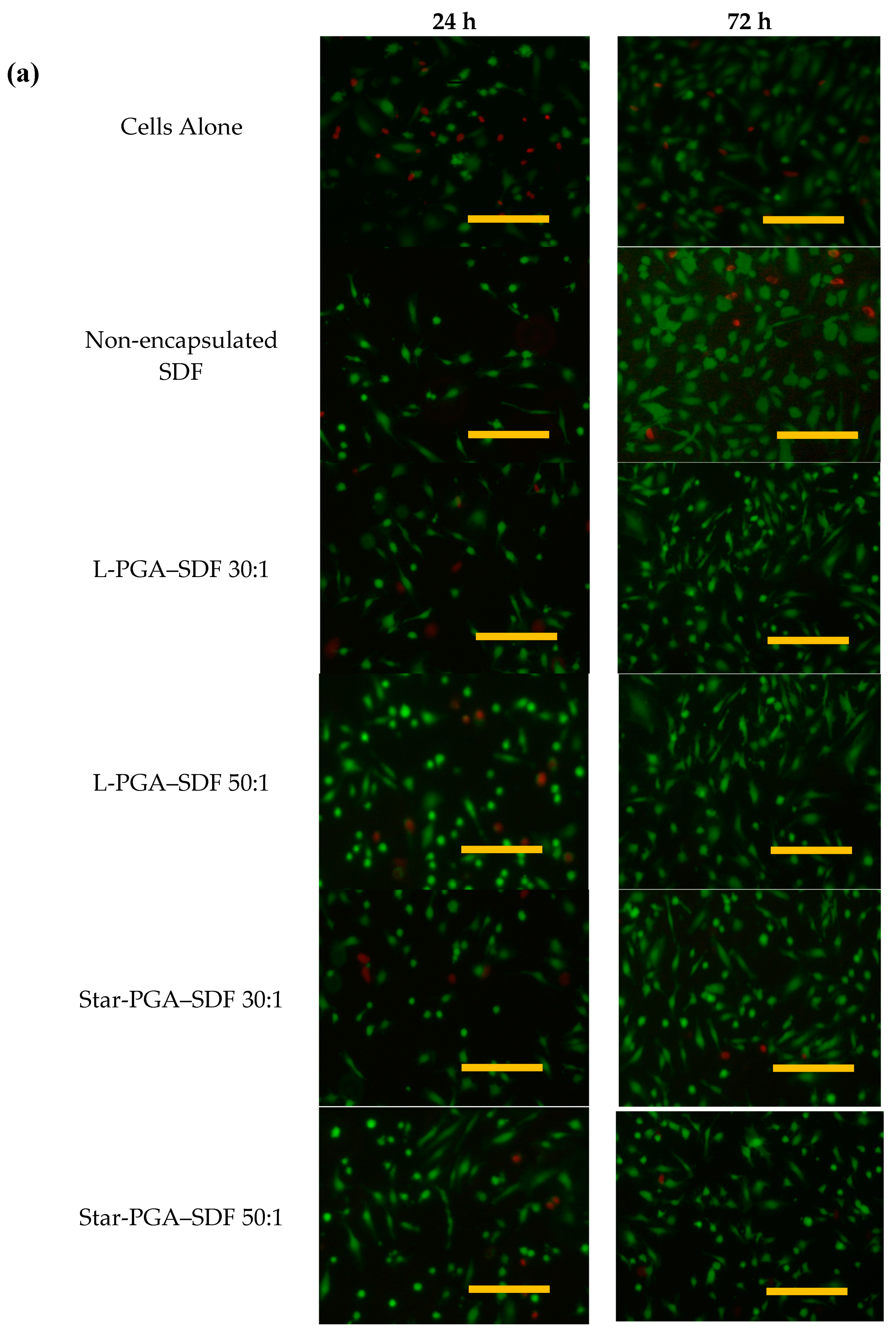 Pharmaceutics 12 00513 g006a