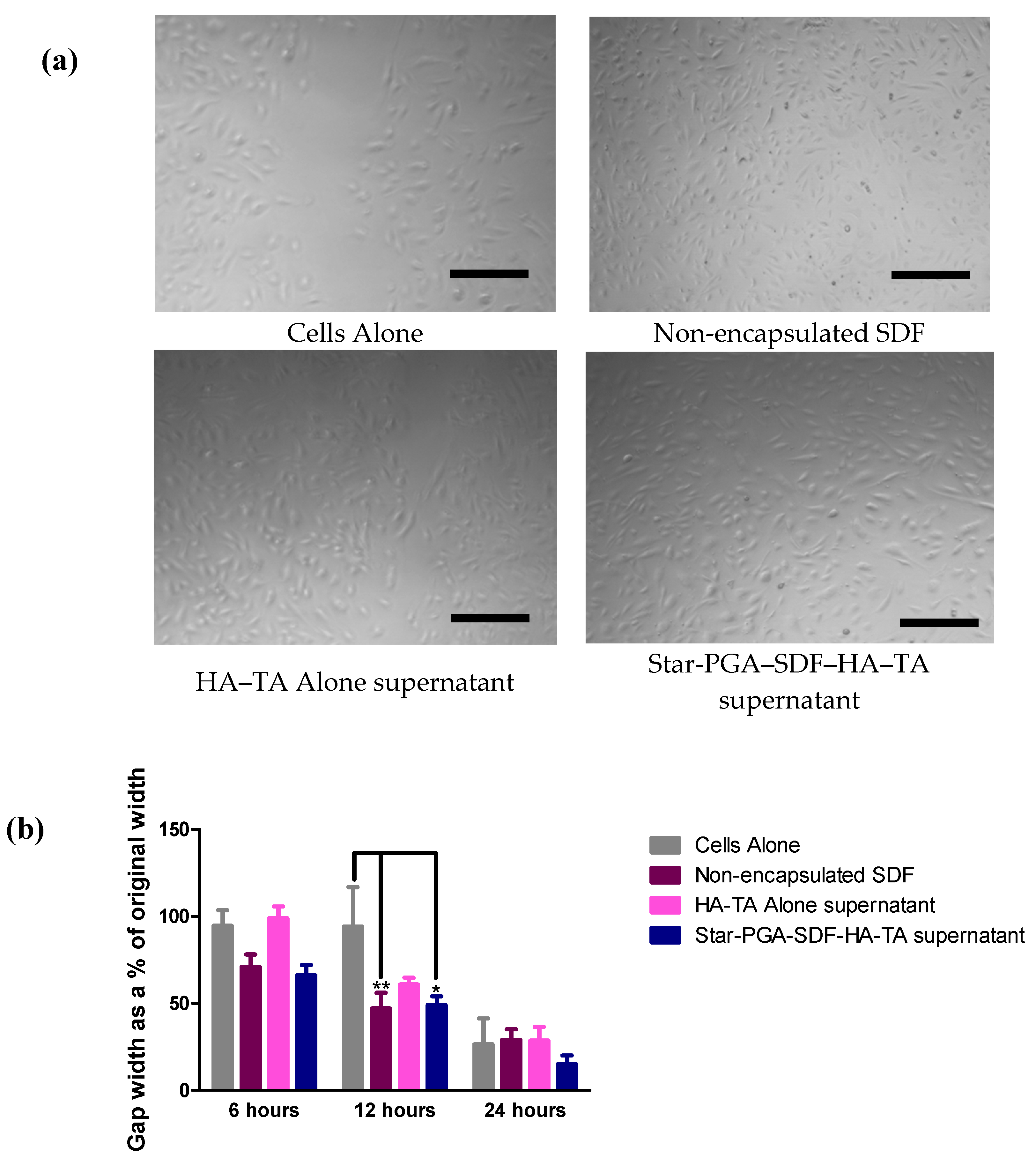 Pharmaceutics 12 00513 g009