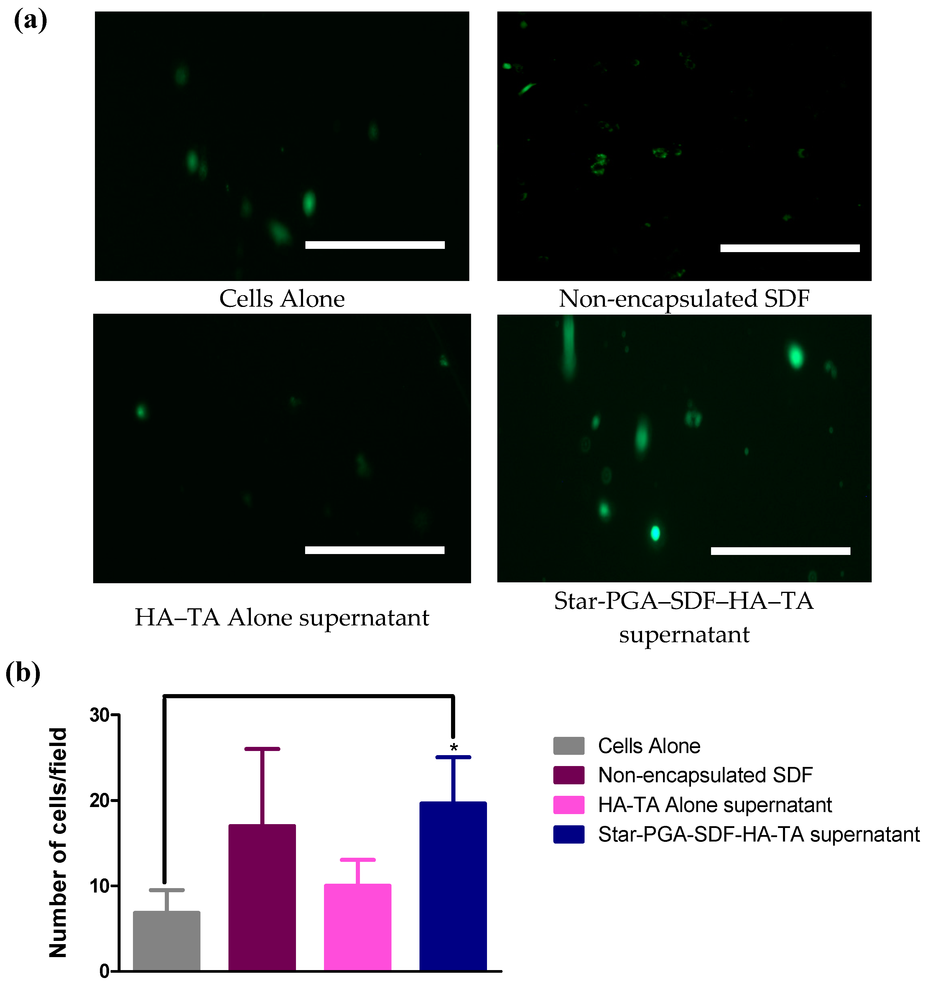 Pharmaceutics 12 00513 g010