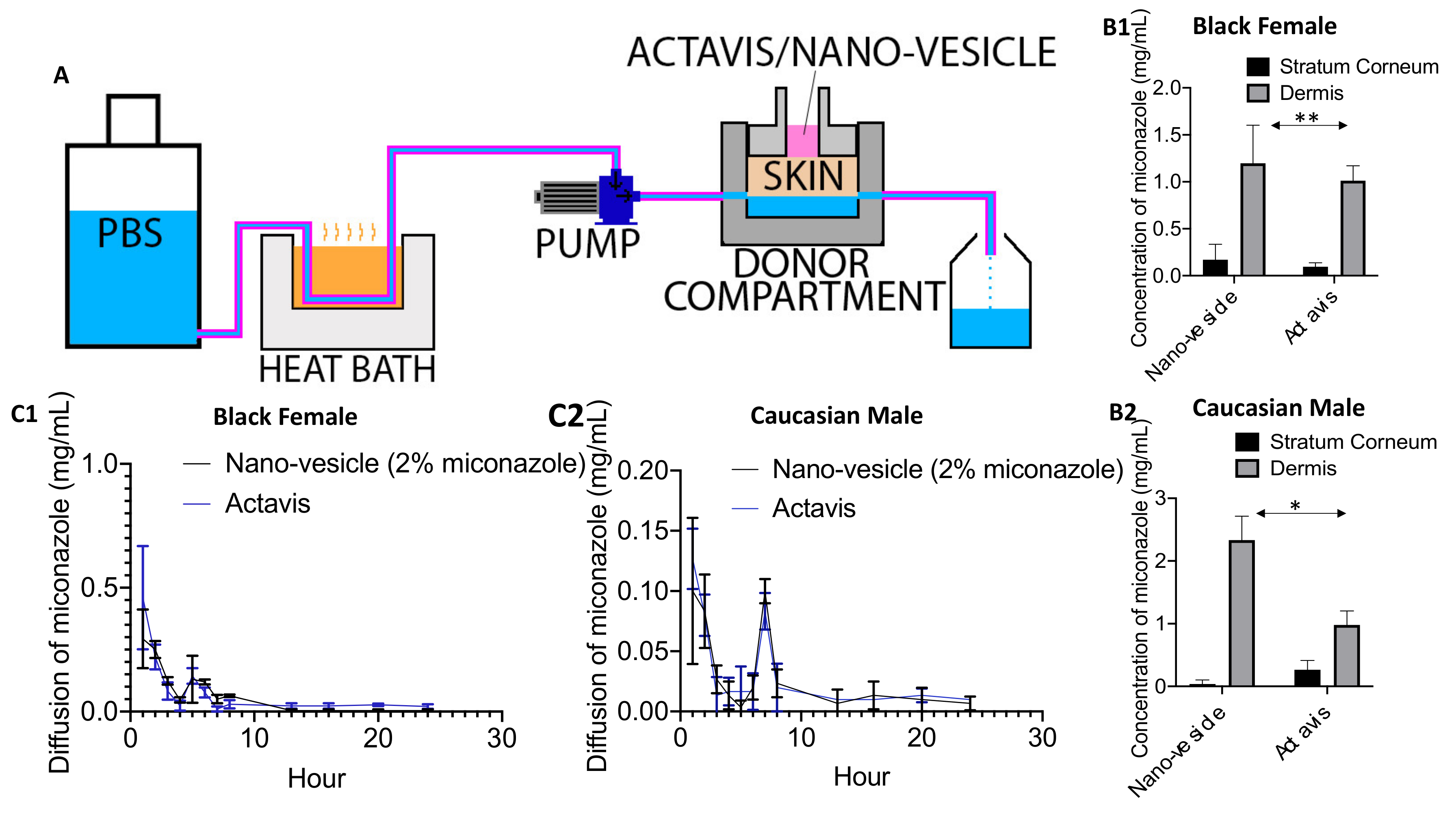 Pharmaceutics 12 00516 g004