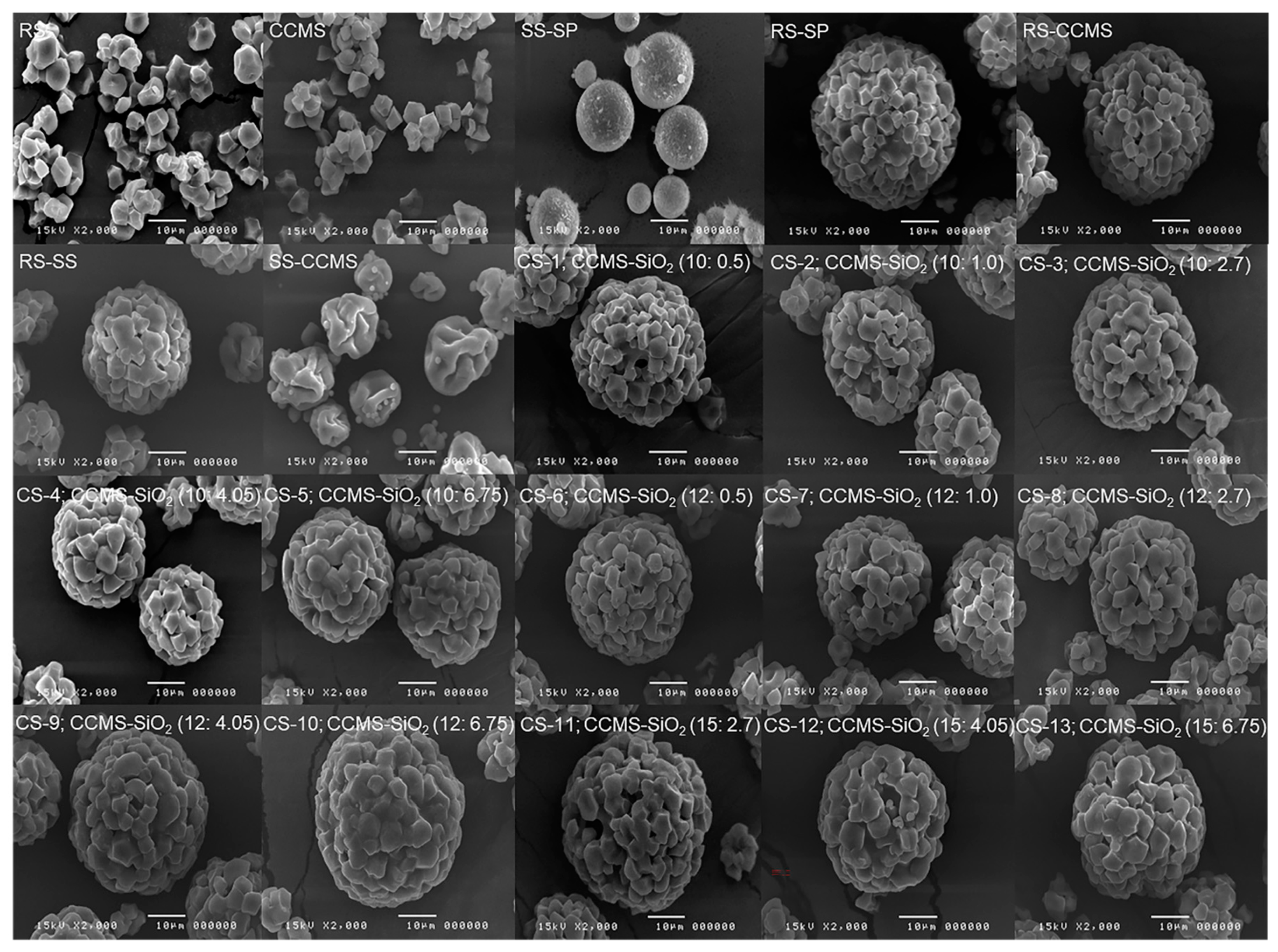 Pharmaceutics 12 00518 g004 Pharmaceutics 12 00518 g004