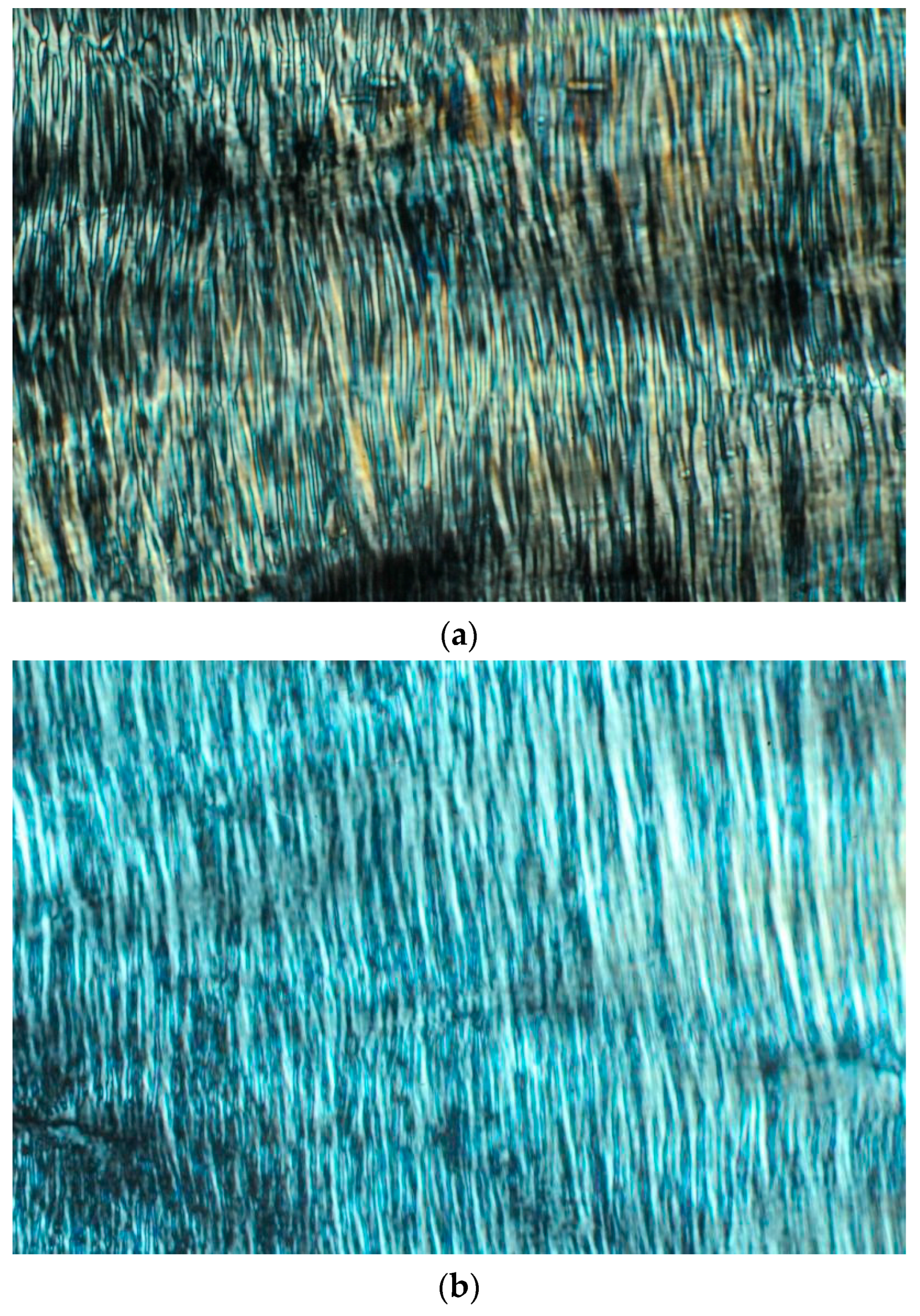 Pharmaceutics 12 00521 g002 Pharmaceutics 12 00521 g002