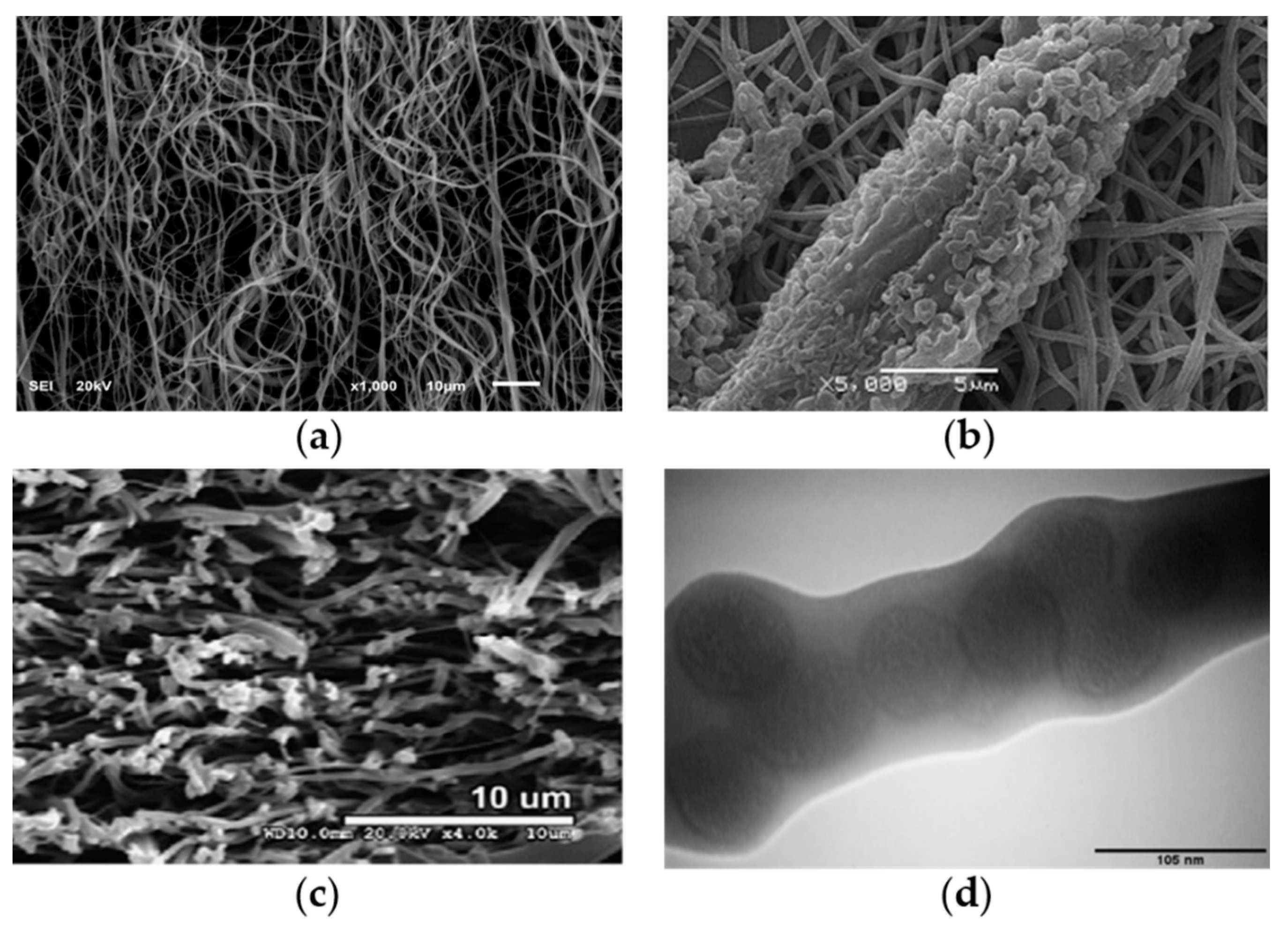 Pharmaceutics 12 00522 g001