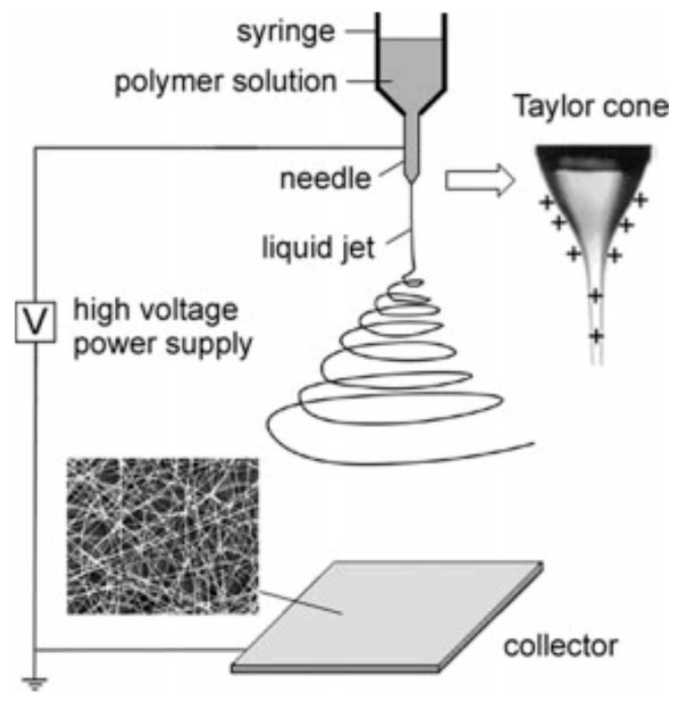 Pharmaceutics 12 00522 g002