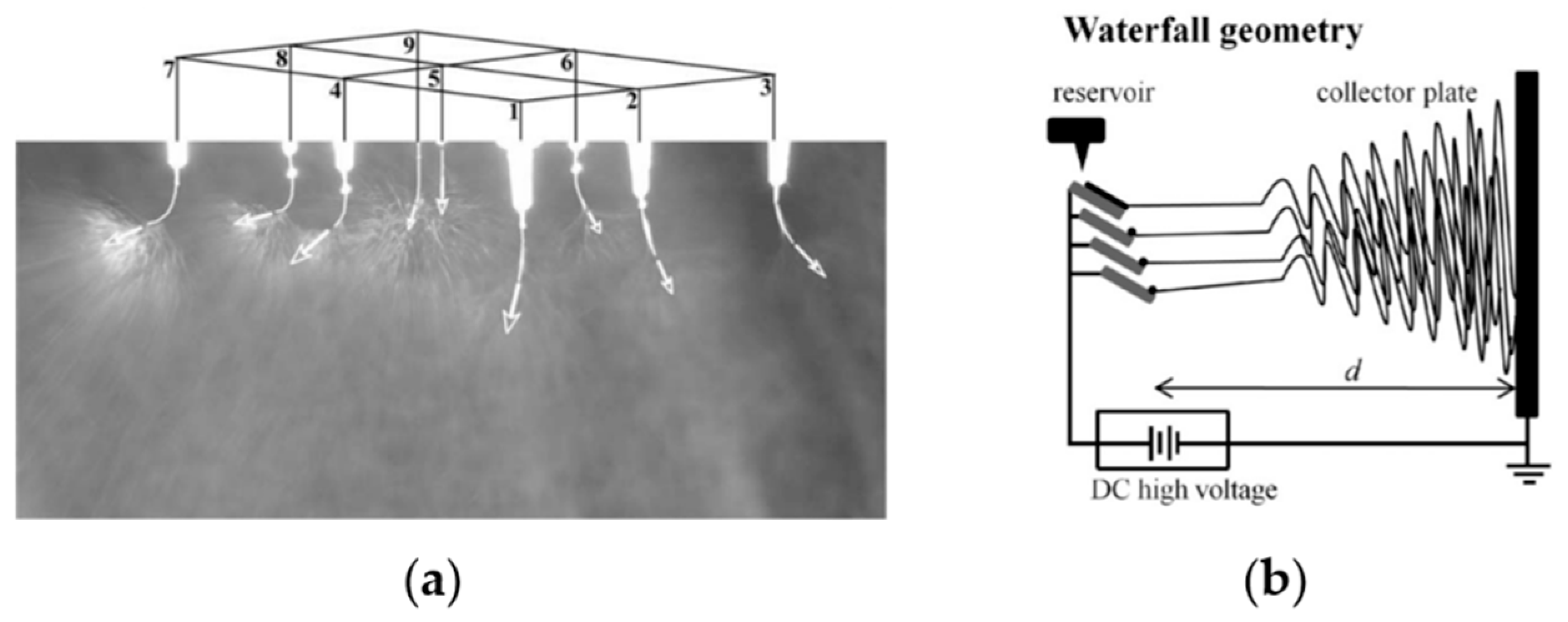 Pharmaceutics 12 00522 g003