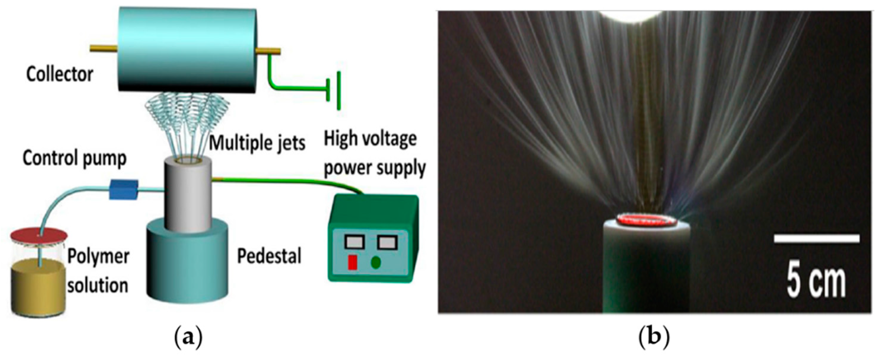 Pharmaceutics 12 00522 g005