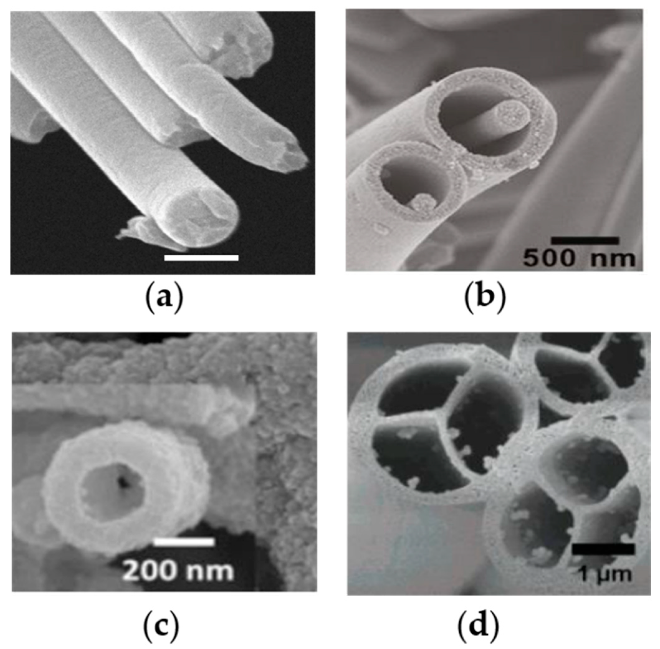 Pharmaceutics 12 00522 g009