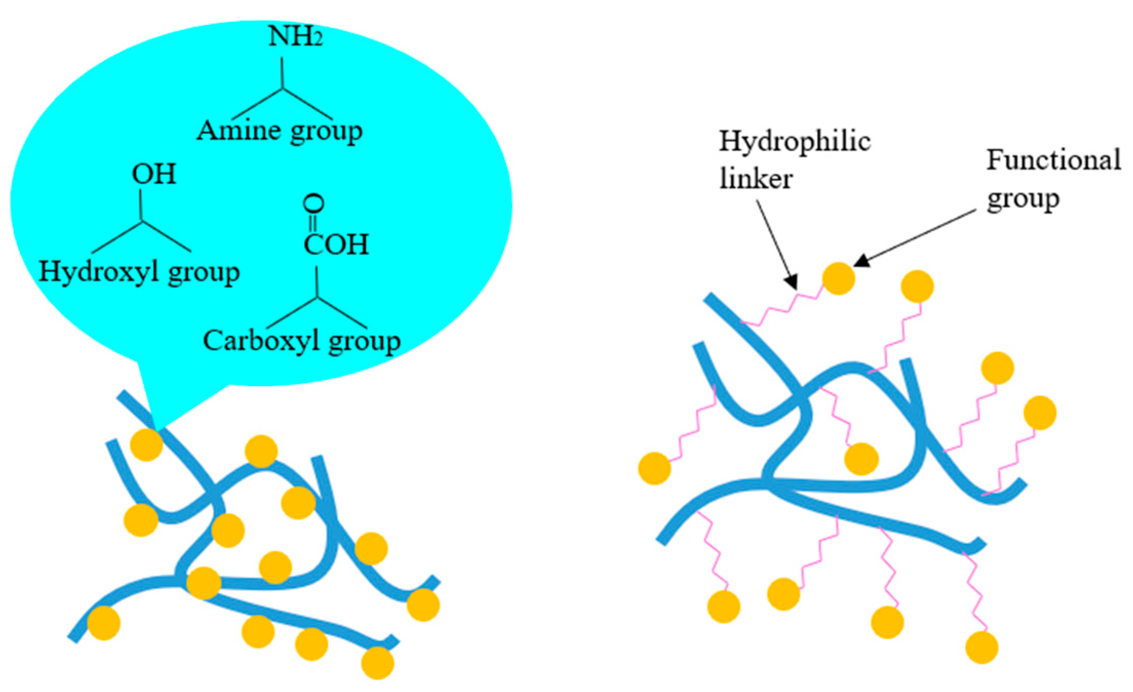 Pharmaceutics 12 00522 g010