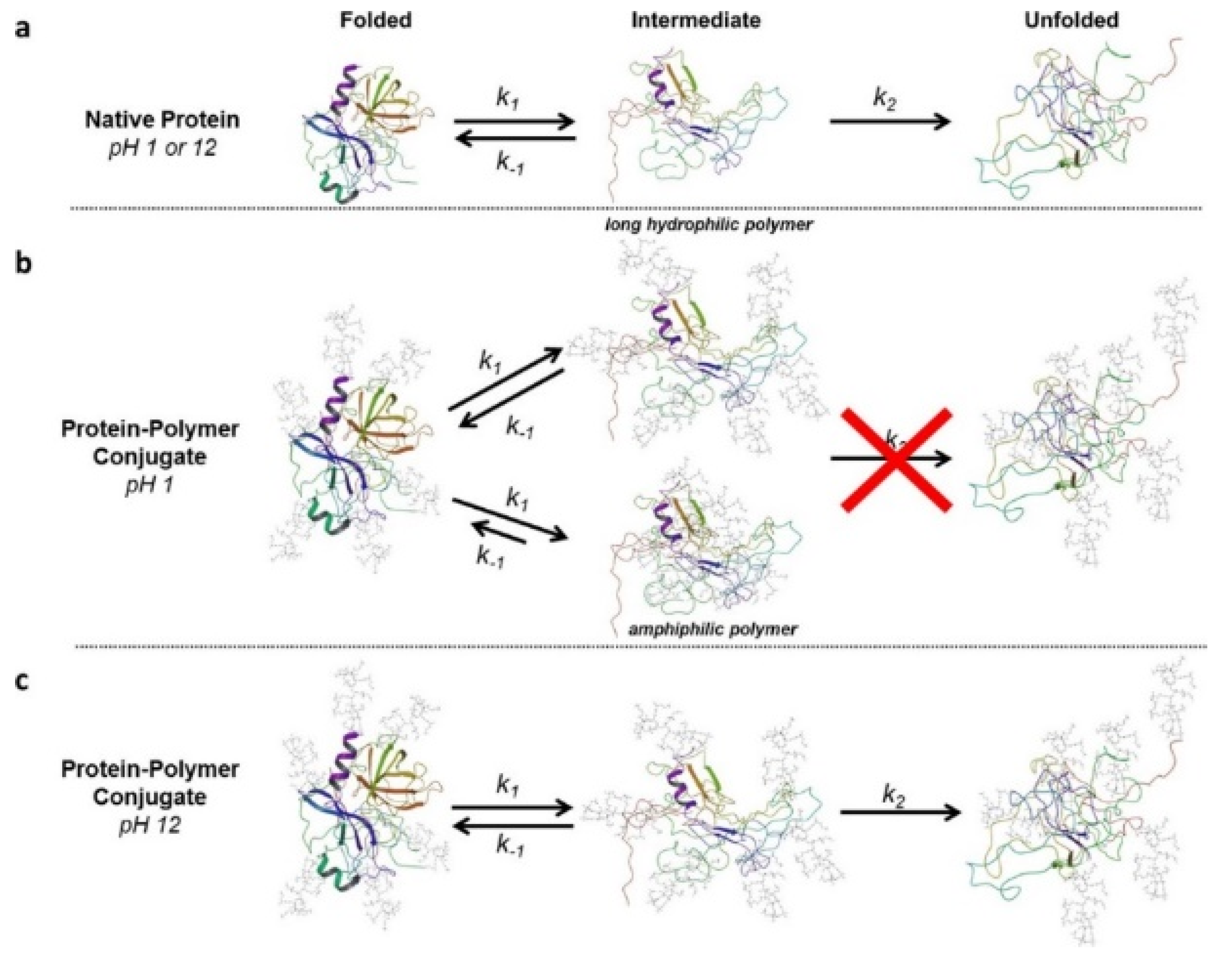 Pharmaceutics 12 00533 g002