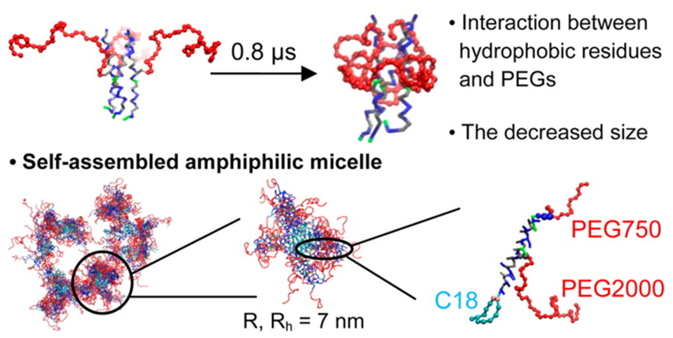 Pharmaceutics 12 00533 g004