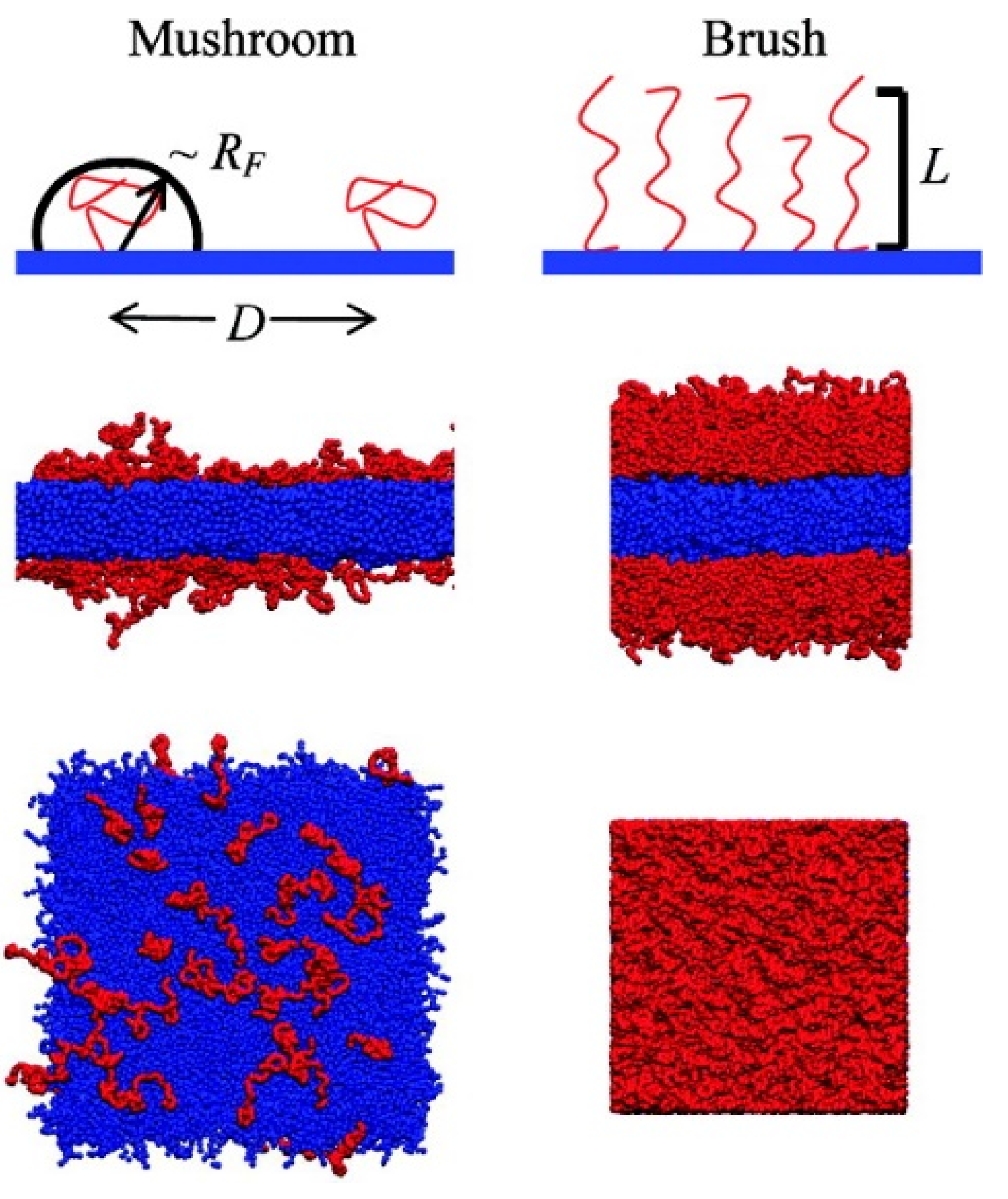 Pharmaceutics 12 00533 g005