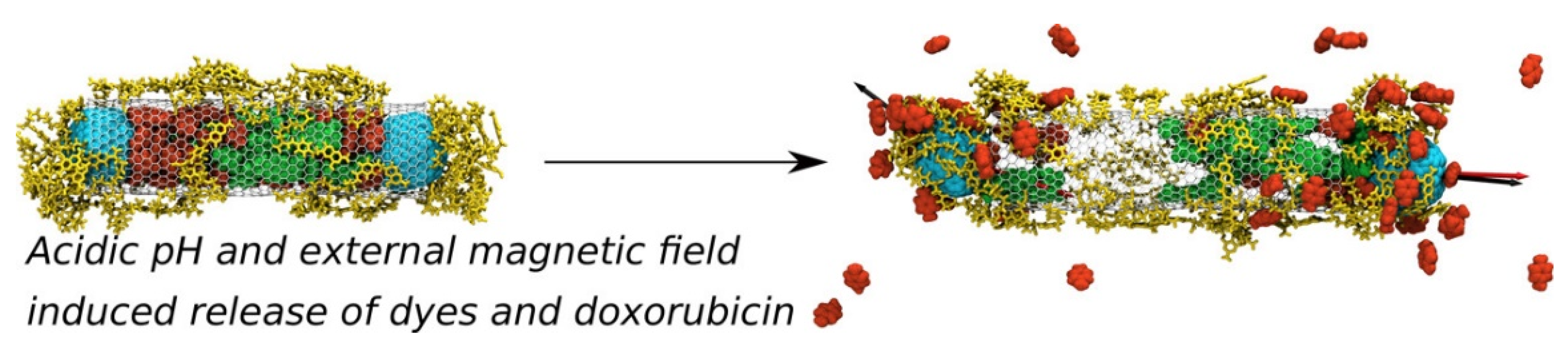 Pharmaceutics 12 00533 g009