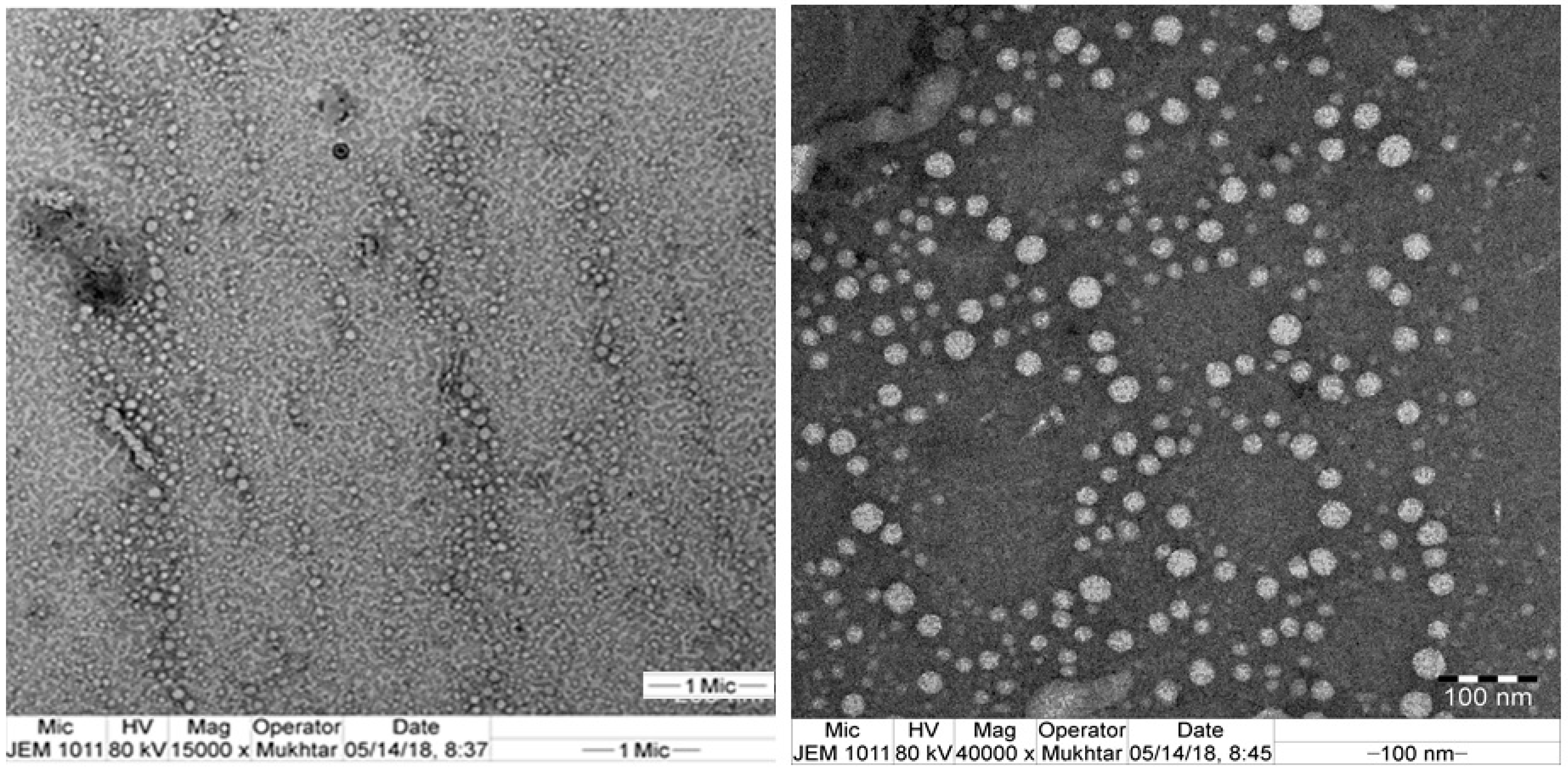 Pharmaceutics 12 00534 g003 Pharmaceutics 12 00534 g003