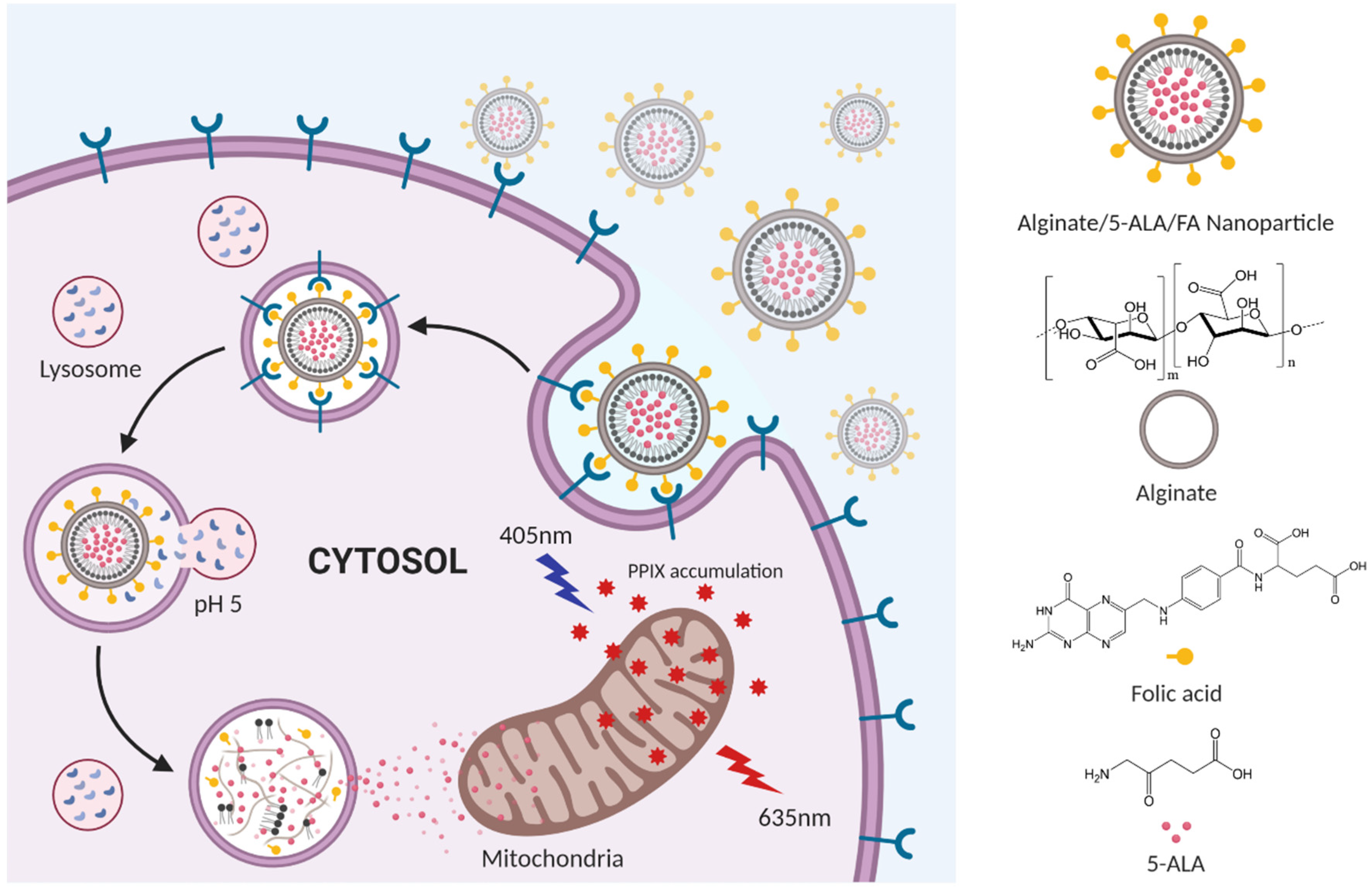 Pharmaceutics 12 00537 g001 Pharmaceutics 12 00537 g001