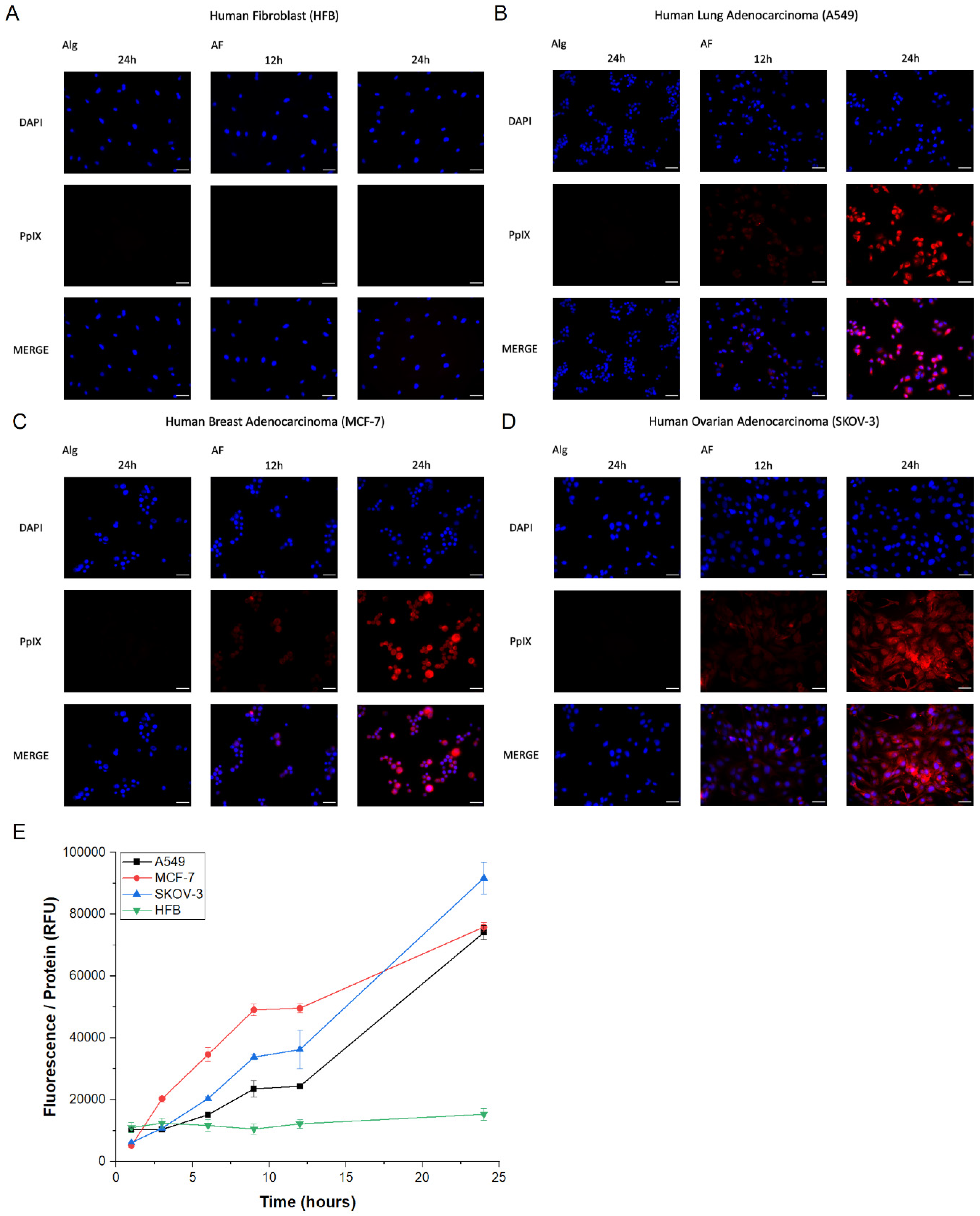 Pharmaceutics 12 00537 g007 Pharmaceutics 12 00537 g007